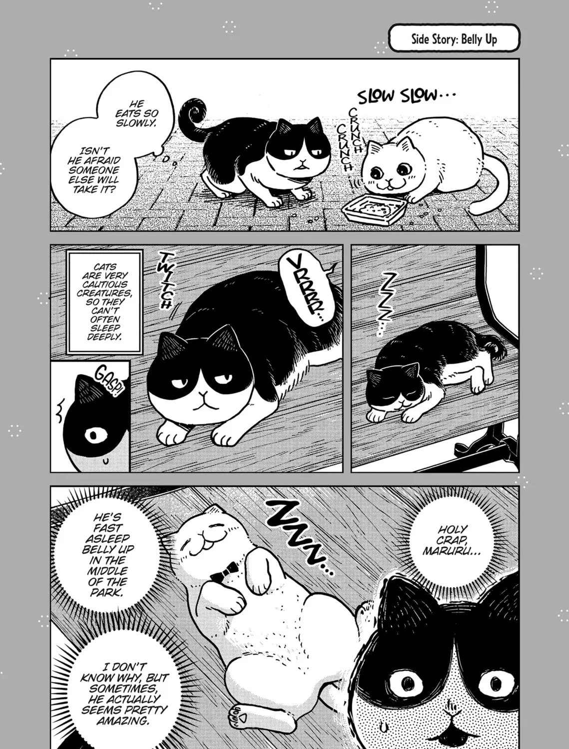 Cat Companions Maruru and Hachi Chapter 2 page 55 - 
