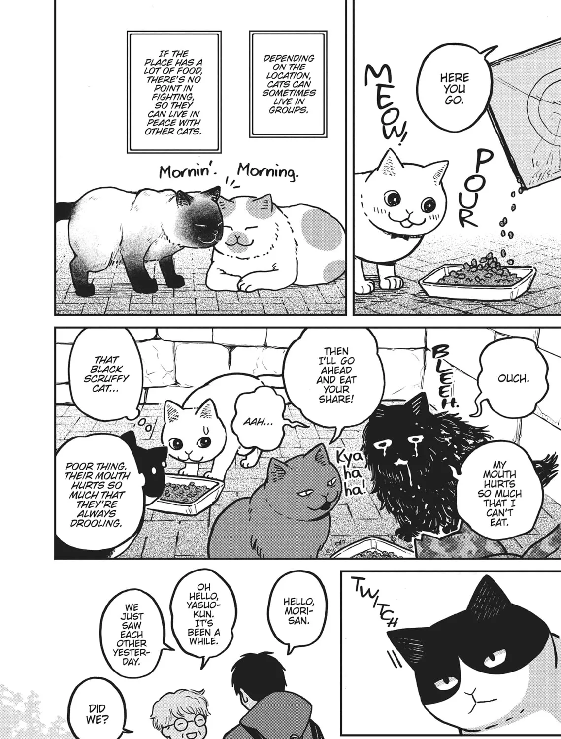 Cat Companions Maruru and Hachi Chapter 2 page 7 - 