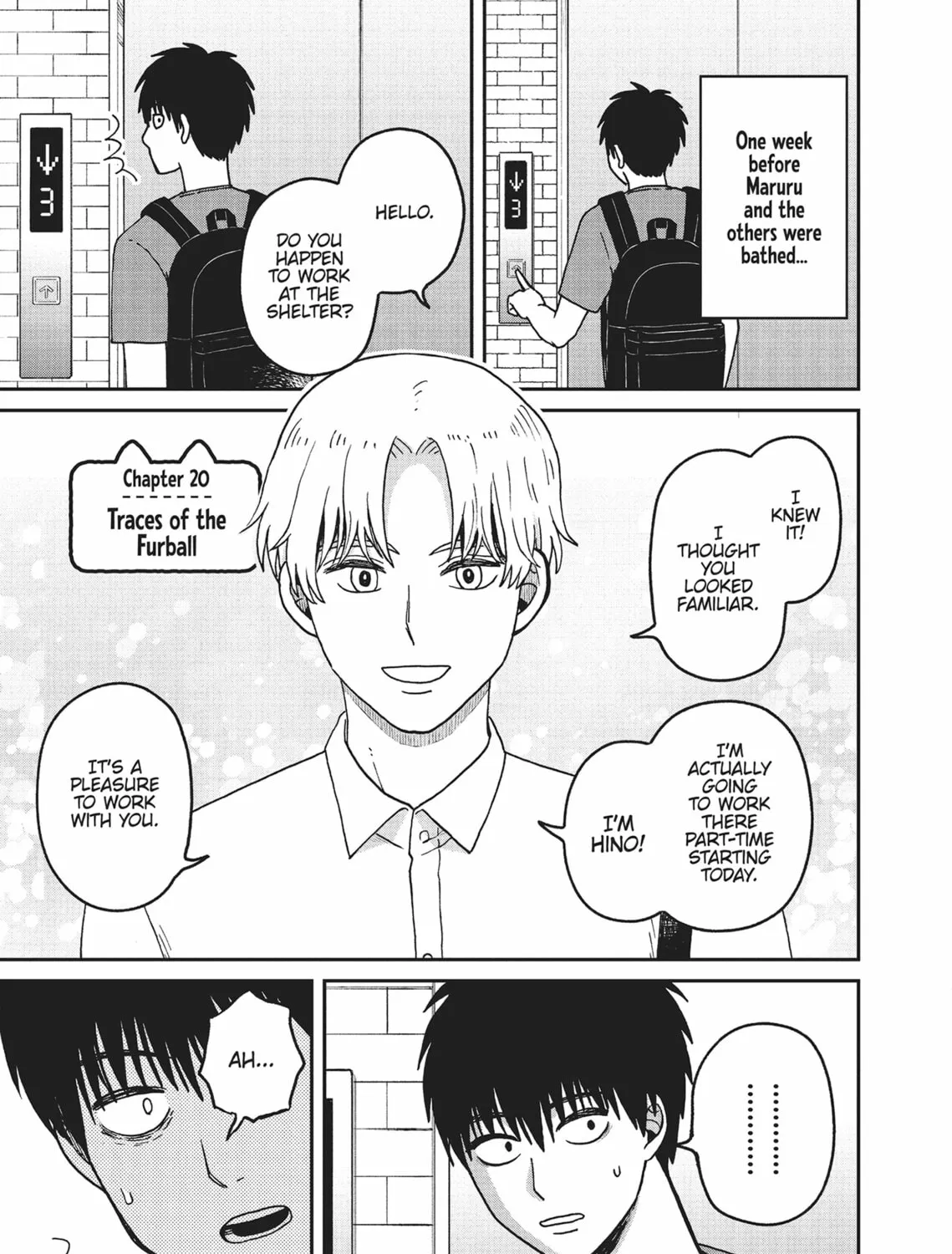 Cat Companions Maruru and Hachi Chapter 20 page 1 - 