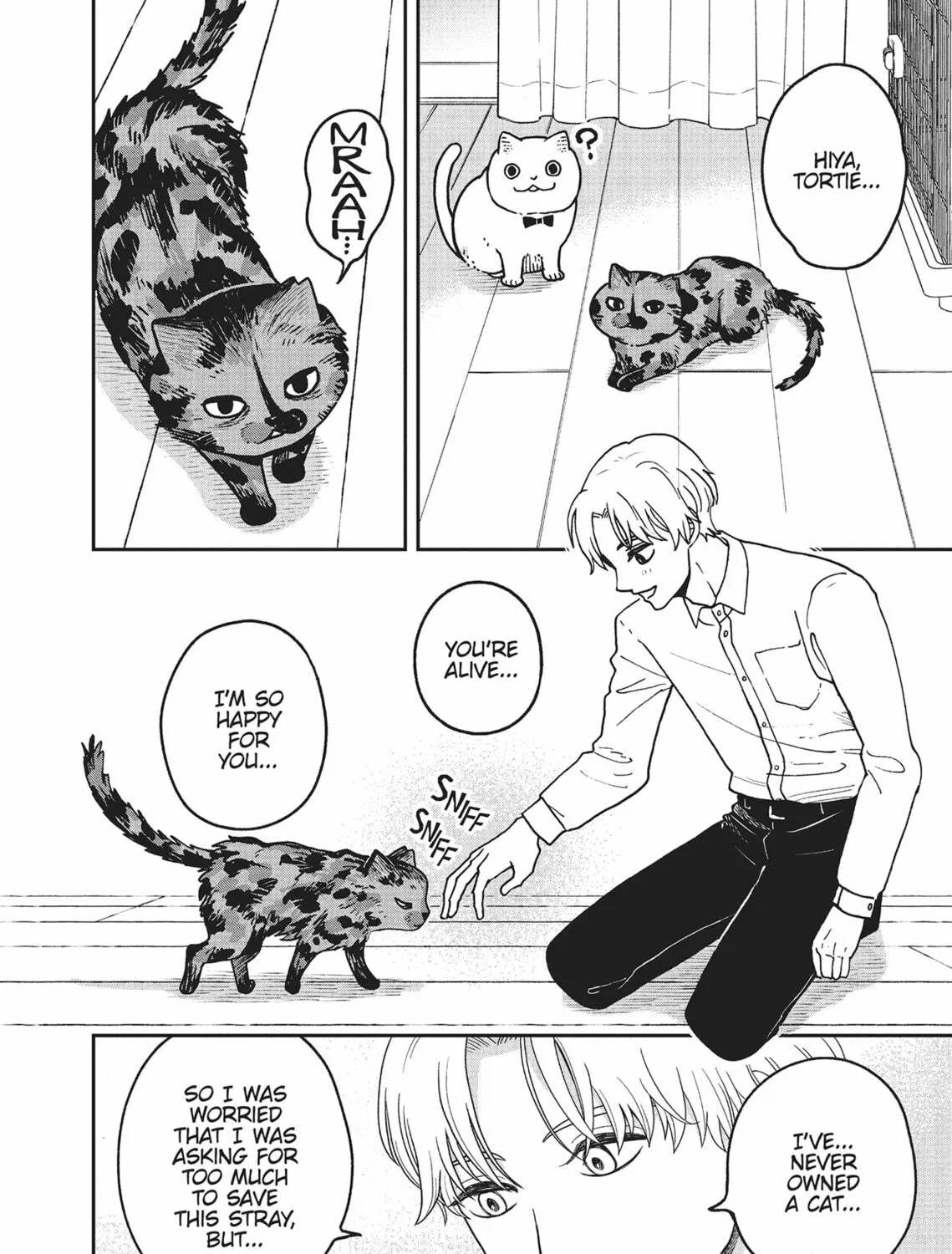 Cat Companions Maruru and Hachi Chapter 20 page 11 - 