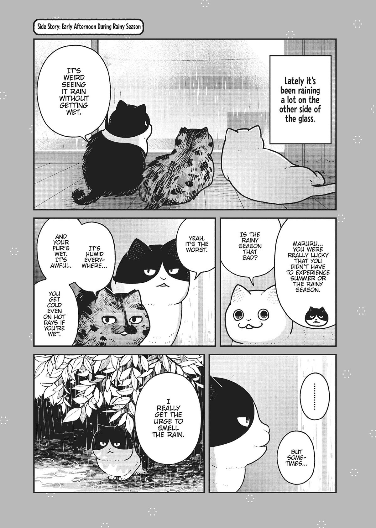 Cat Companions Maruru and Hachi Chapter 22.5 page 1 - 