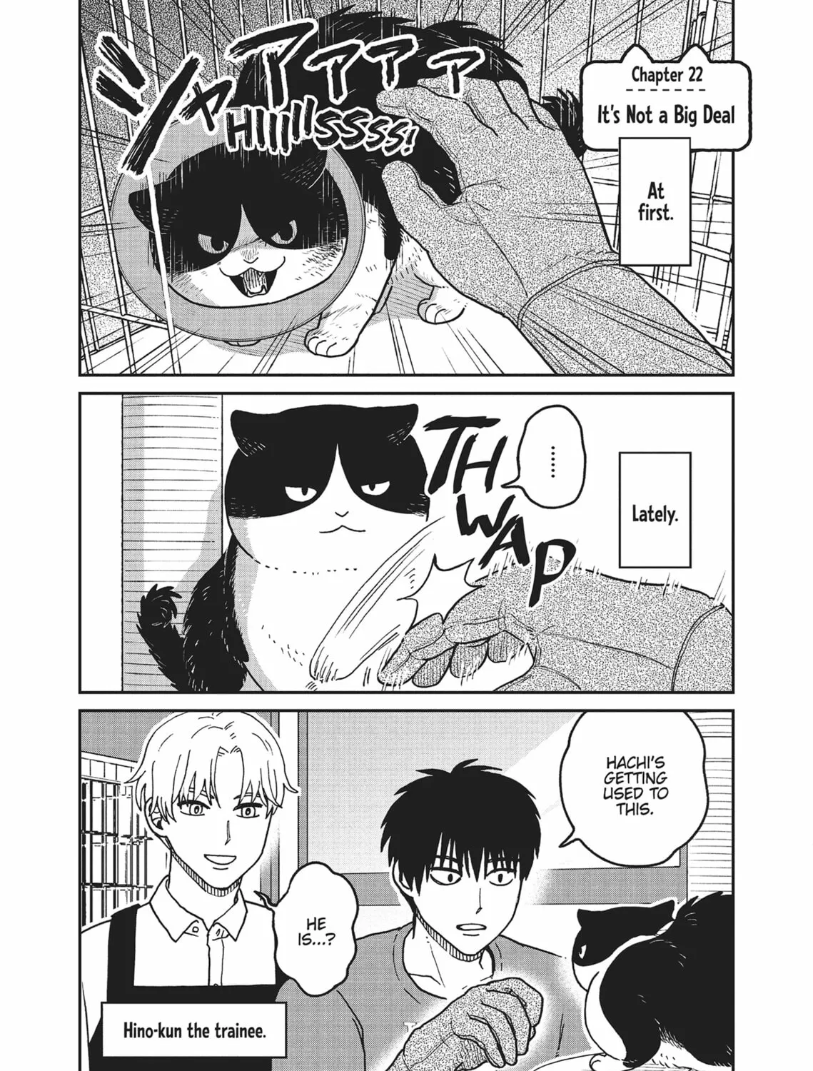 Cat Companions Maruru and Hachi Chapter 22 page 1 - 