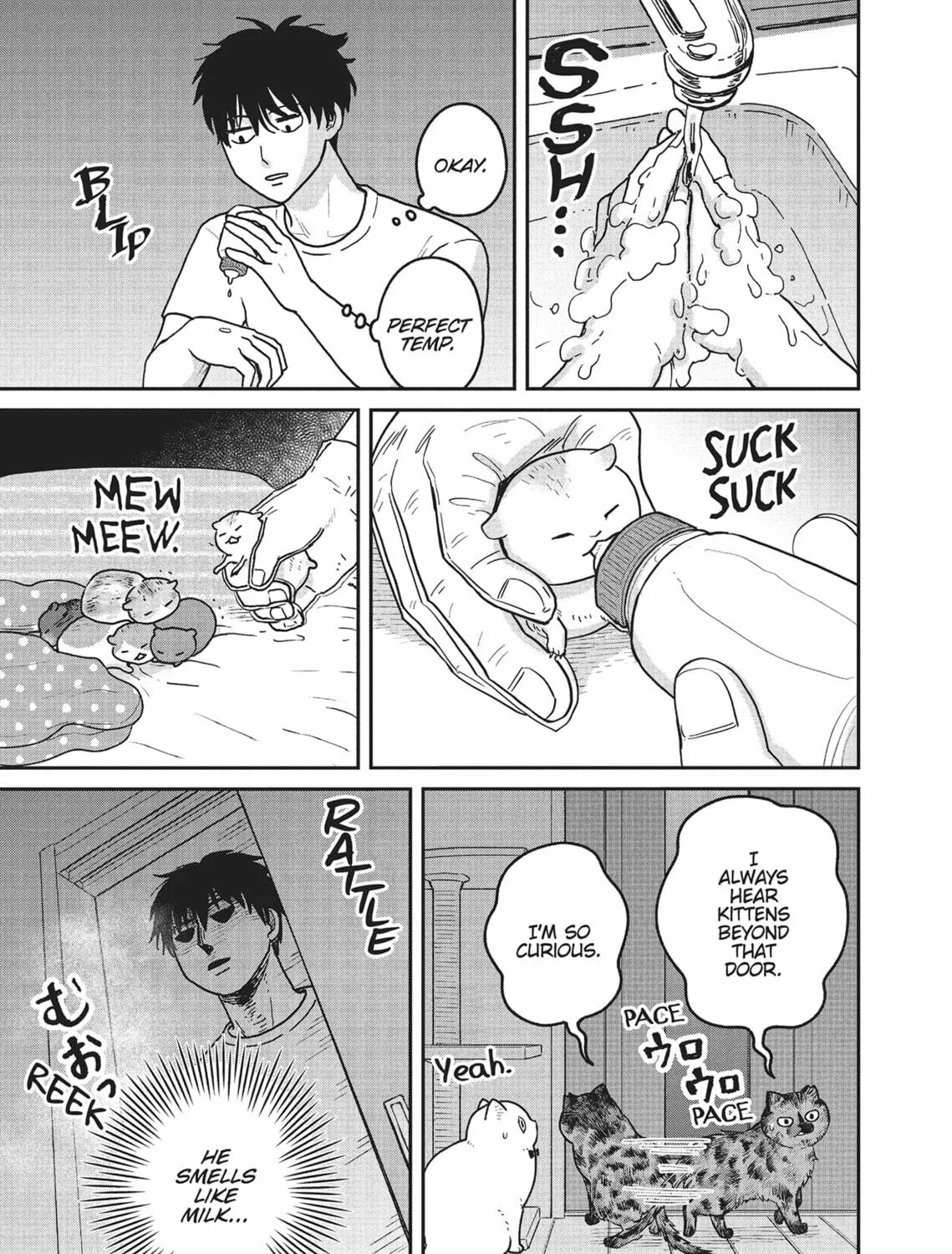 Cat Companions Maruru and Hachi Chapter 22 page 17 - 