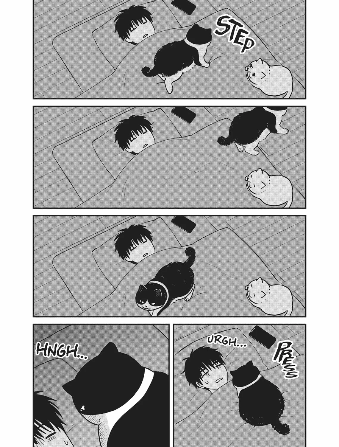 Cat Companions Maruru and Hachi Chapter 22 page 21 - 