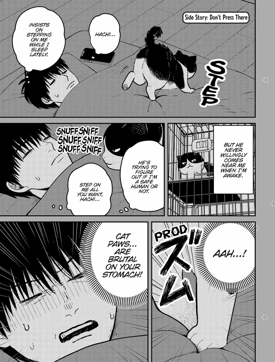 Cat Companions Maruru and Hachi Chapter 22 page 25 - 