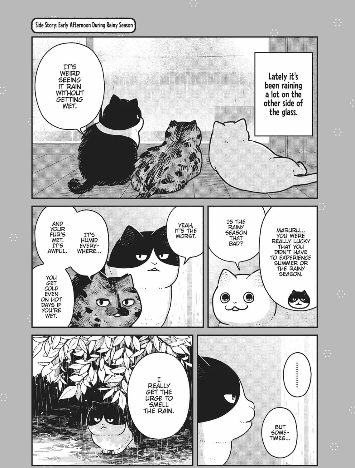 Cat Companions Maruru and Hachi Chapter 22 page 29 - 