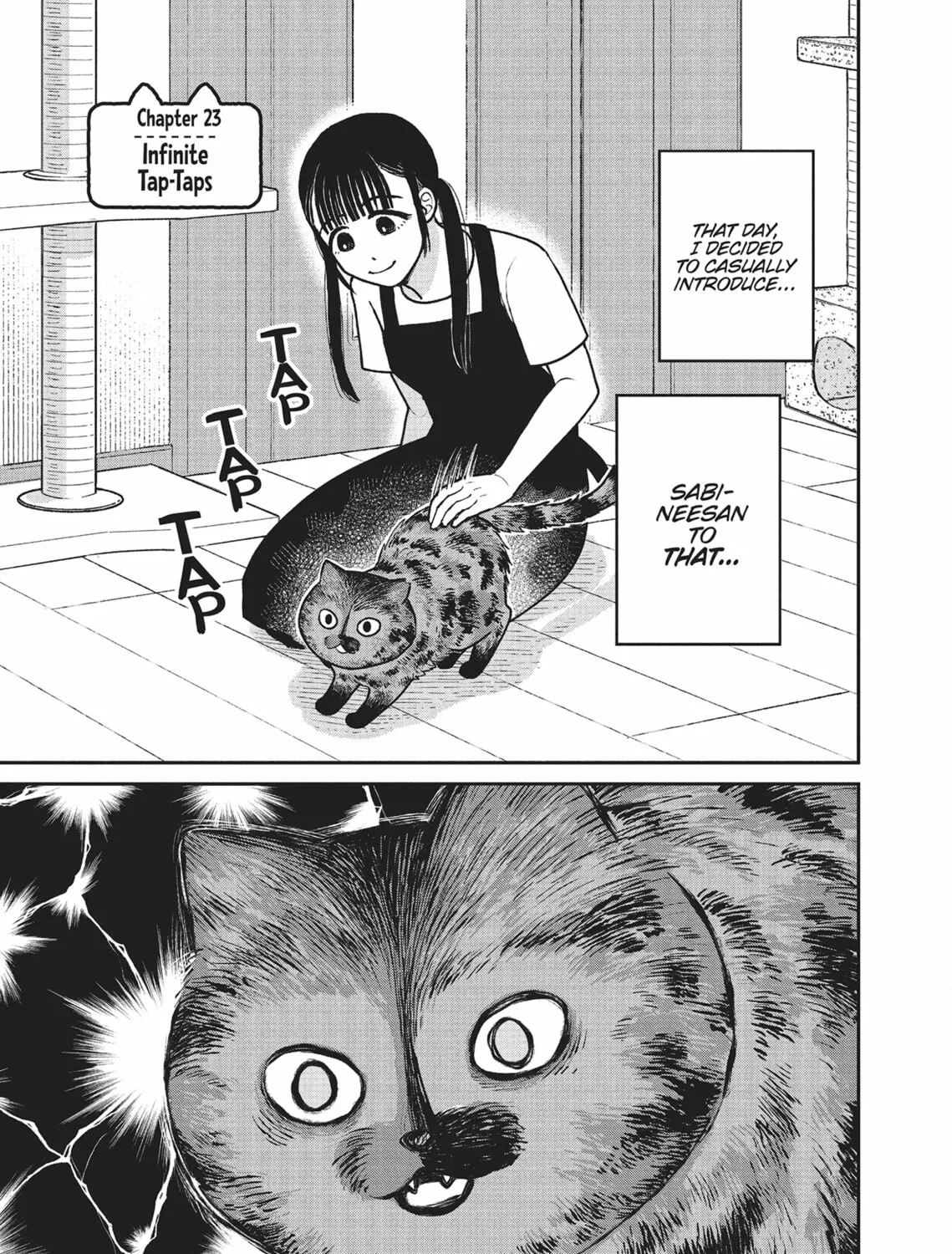 Cat Companions Maruru and Hachi Chapter 23 page 1 - 