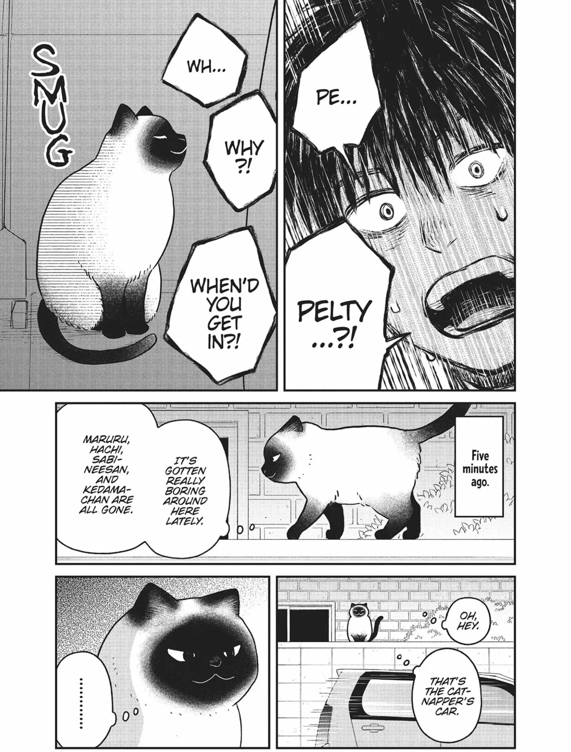 Cat Companions Maruru and Hachi Chapter 23 page 21 - 