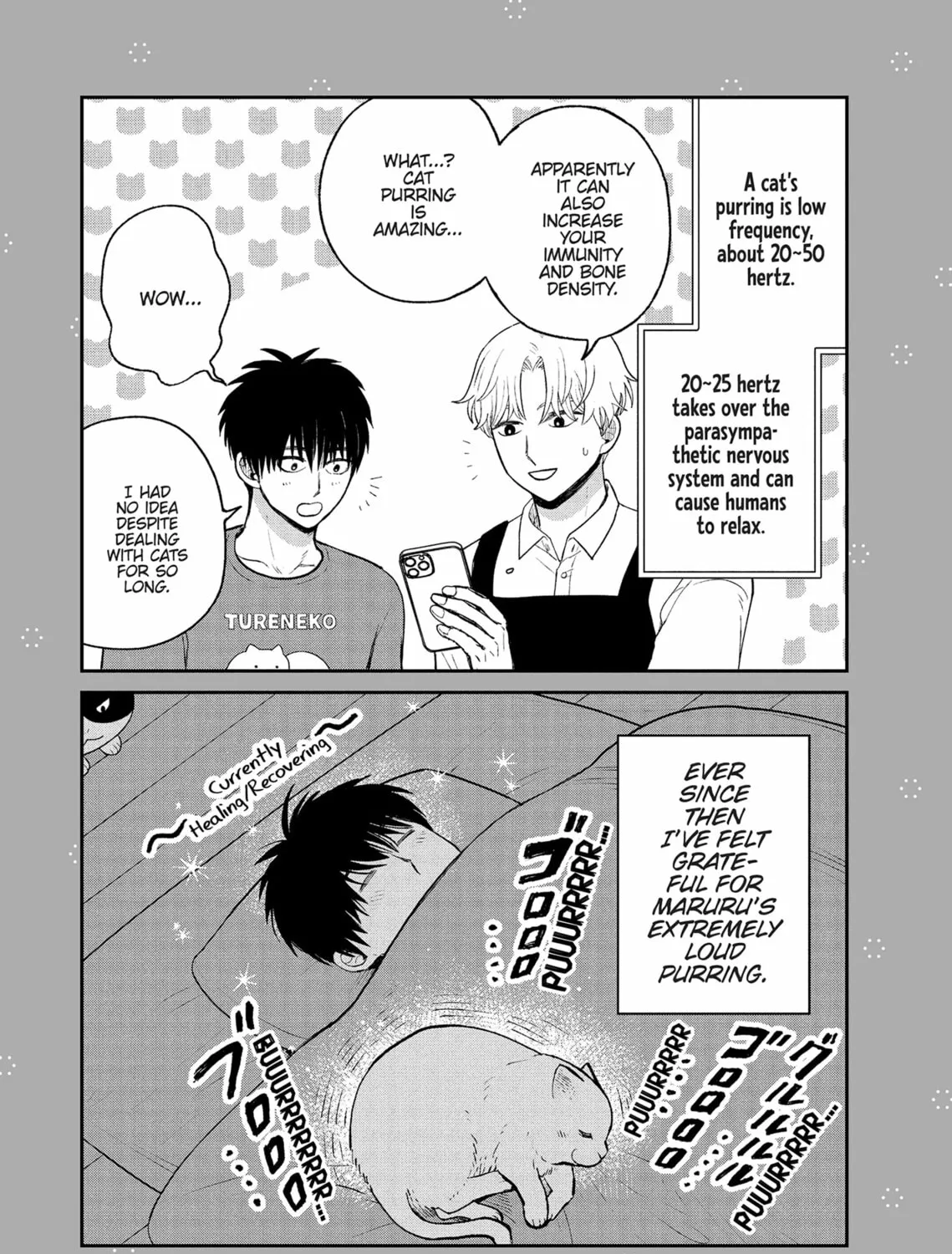 Cat Companions Maruru and Hachi Chapter 23 page 27 - 