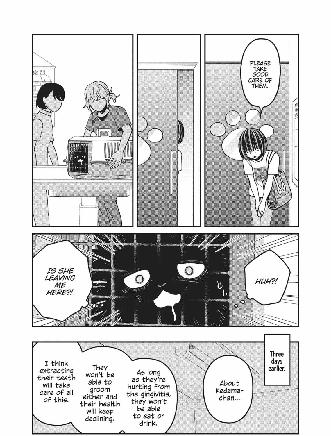 Cat Companions Maruru and Hachi Chapter 24 page 17 - 
