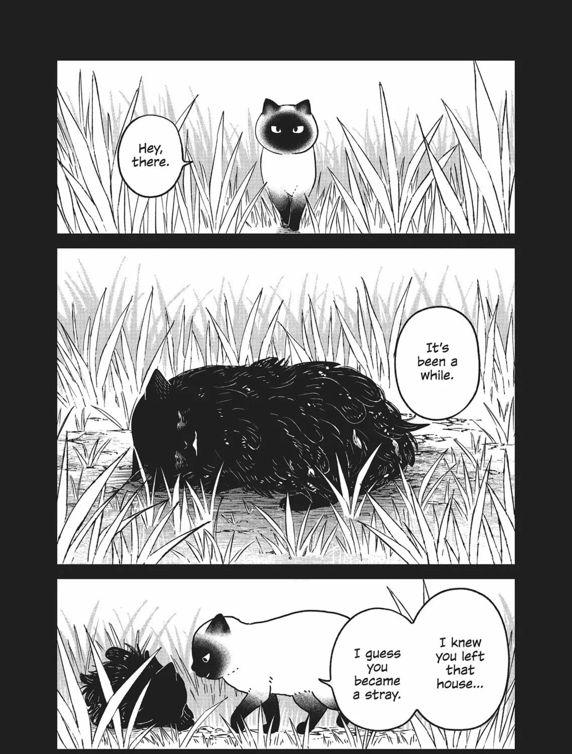 Cat Companions Maruru and Hachi Chapter 25 page 17 - 