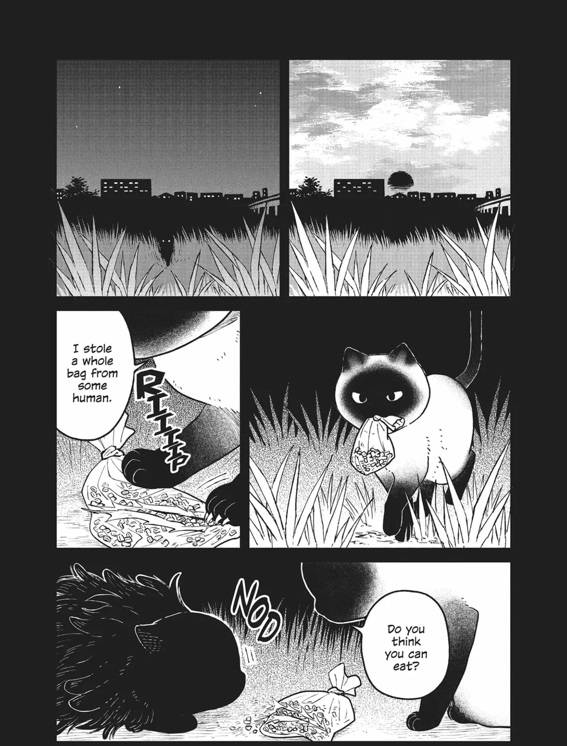 Cat Companions Maruru and Hachi Chapter 25 page 21 - 
