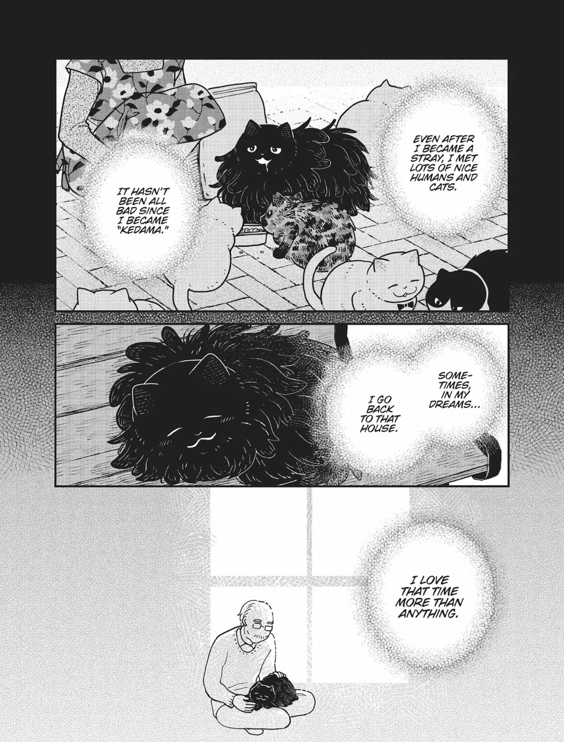 Cat Companions Maruru and Hachi Chapter 25 page 27 - 