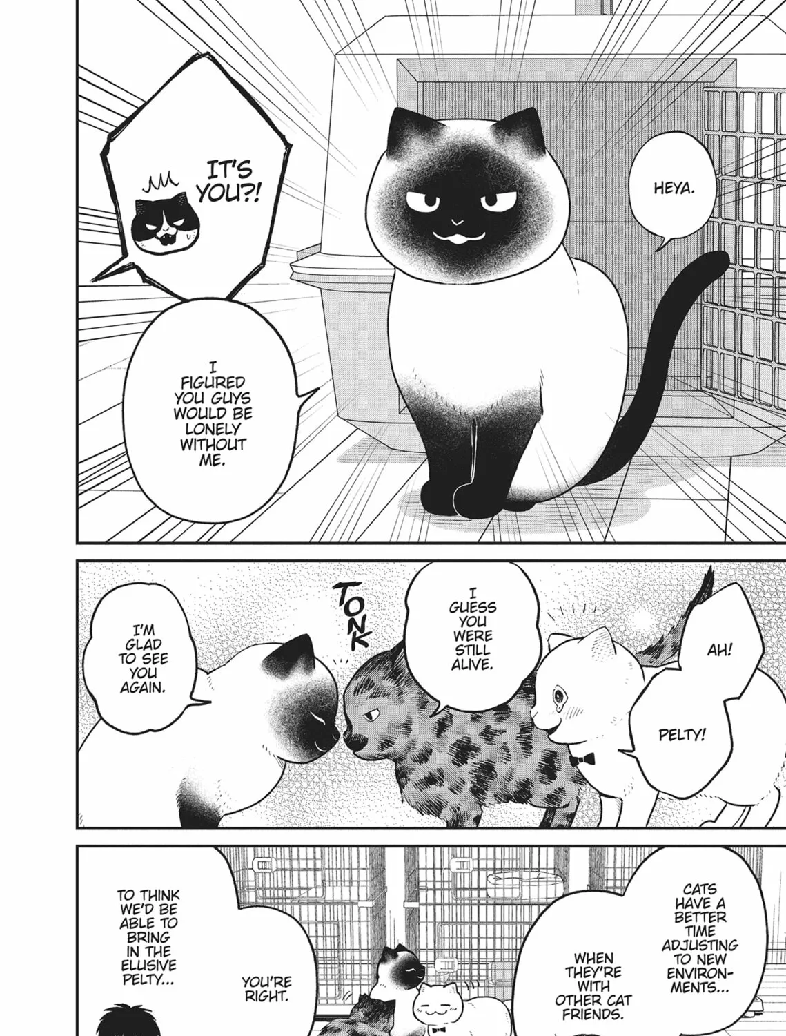Cat Companions Maruru and Hachi Chapter 26 page 3 - 
