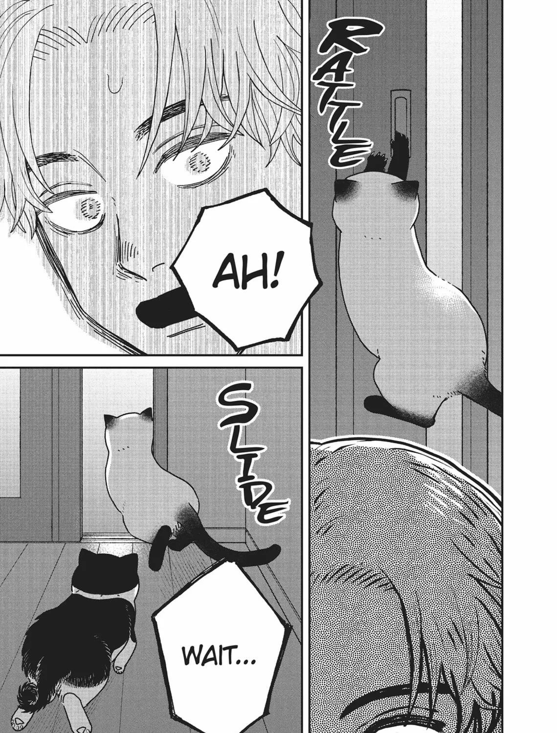 Cat Companions Maruru and Hachi Chapter 27 page 13 - 