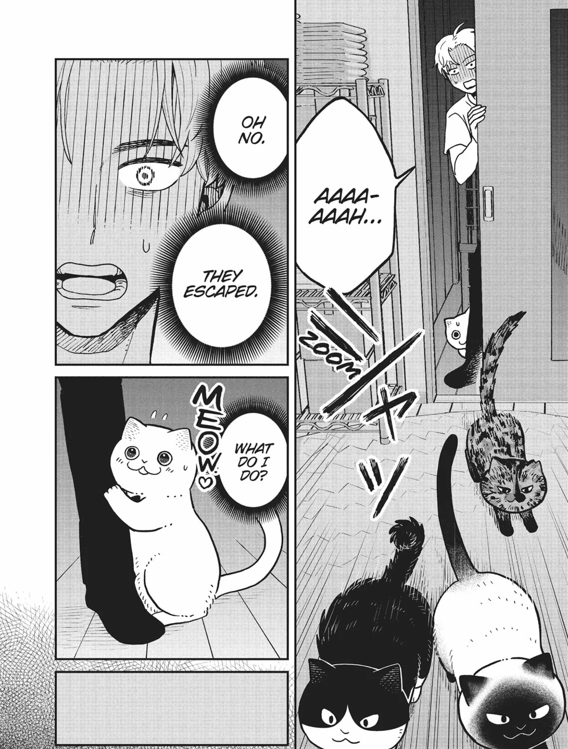 Cat Companions Maruru and Hachi Chapter 27 page 15 - 