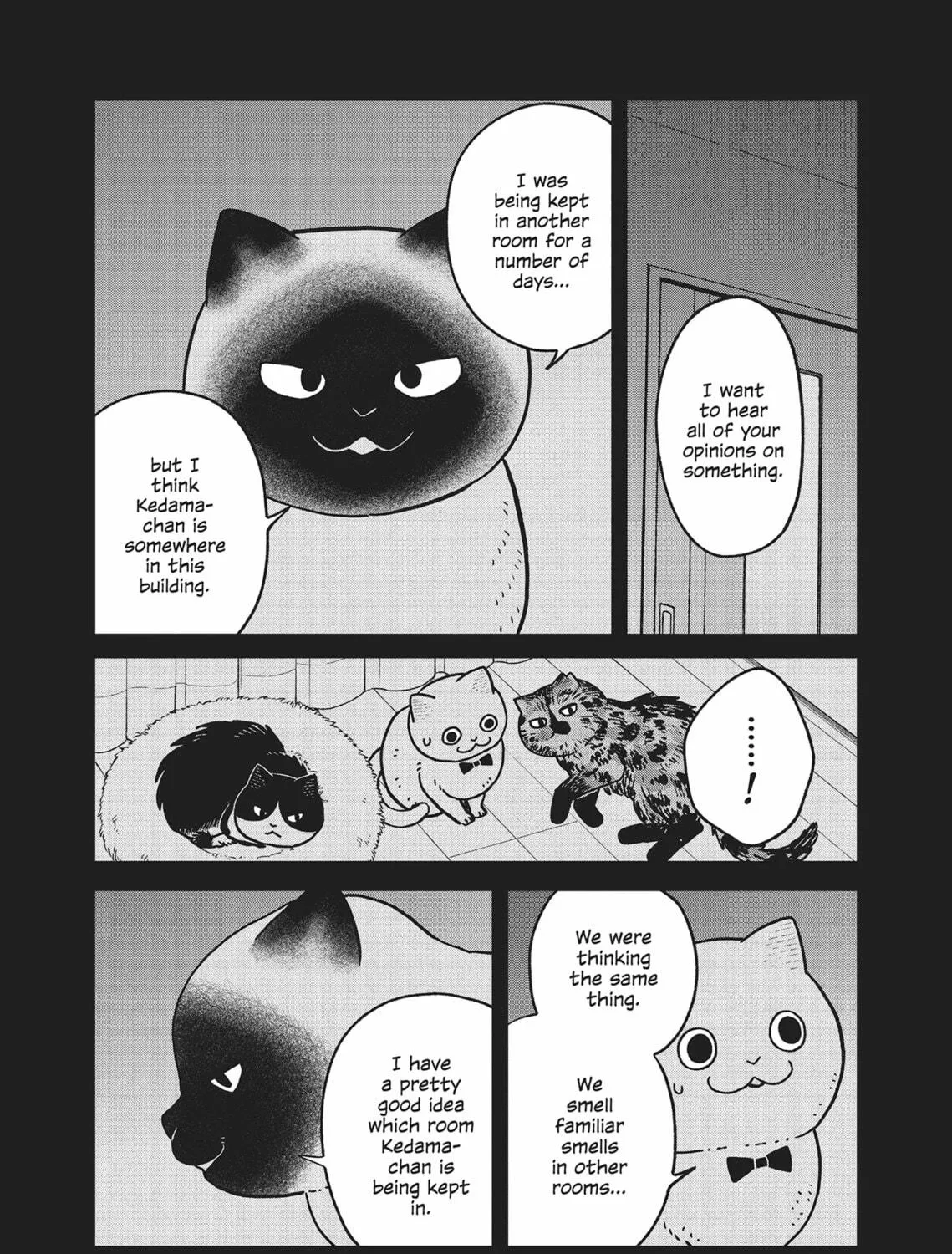 Cat Companions Maruru and Hachi Chapter 27 page 17 - 
