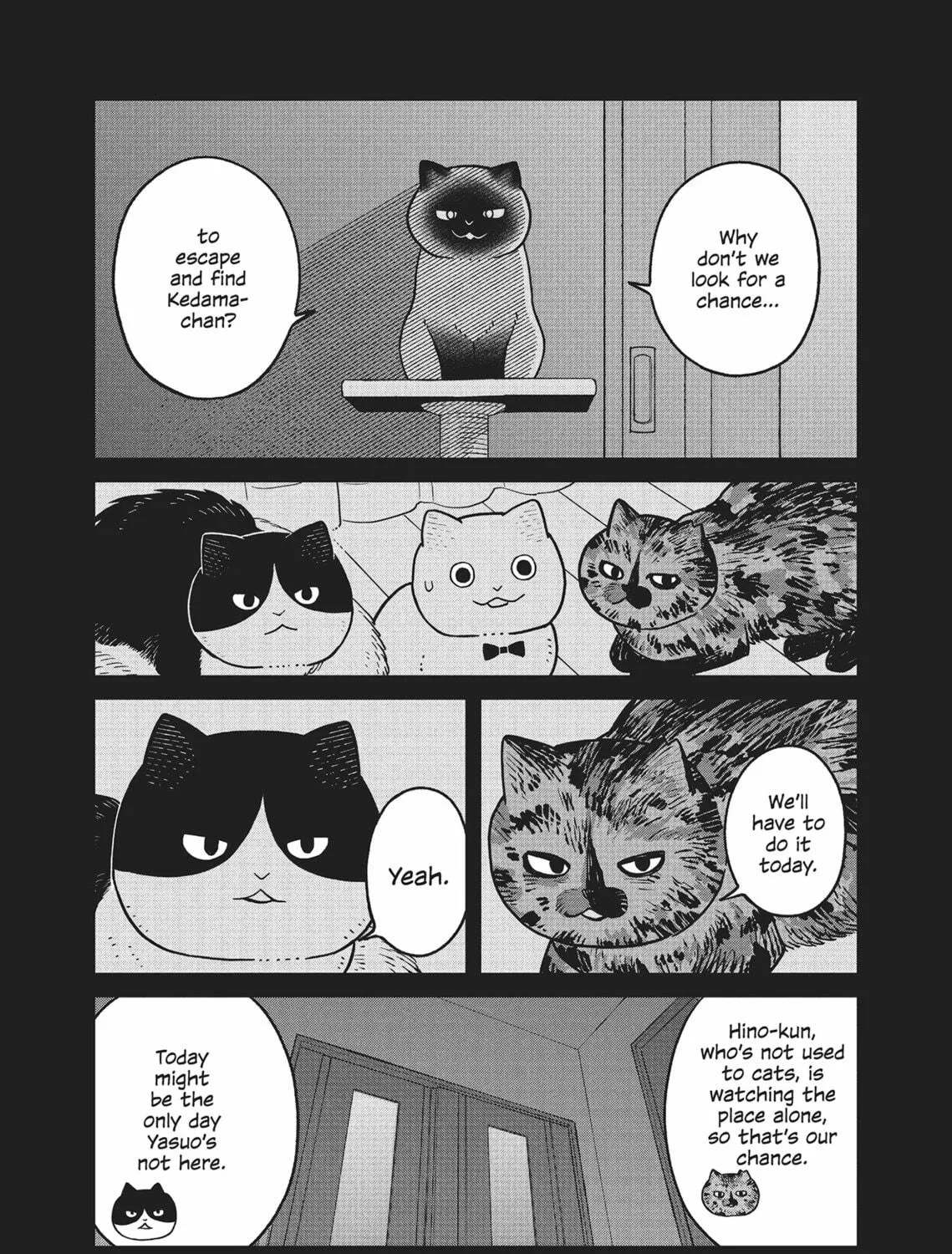 Cat Companions Maruru and Hachi Chapter 27 page 19 - 