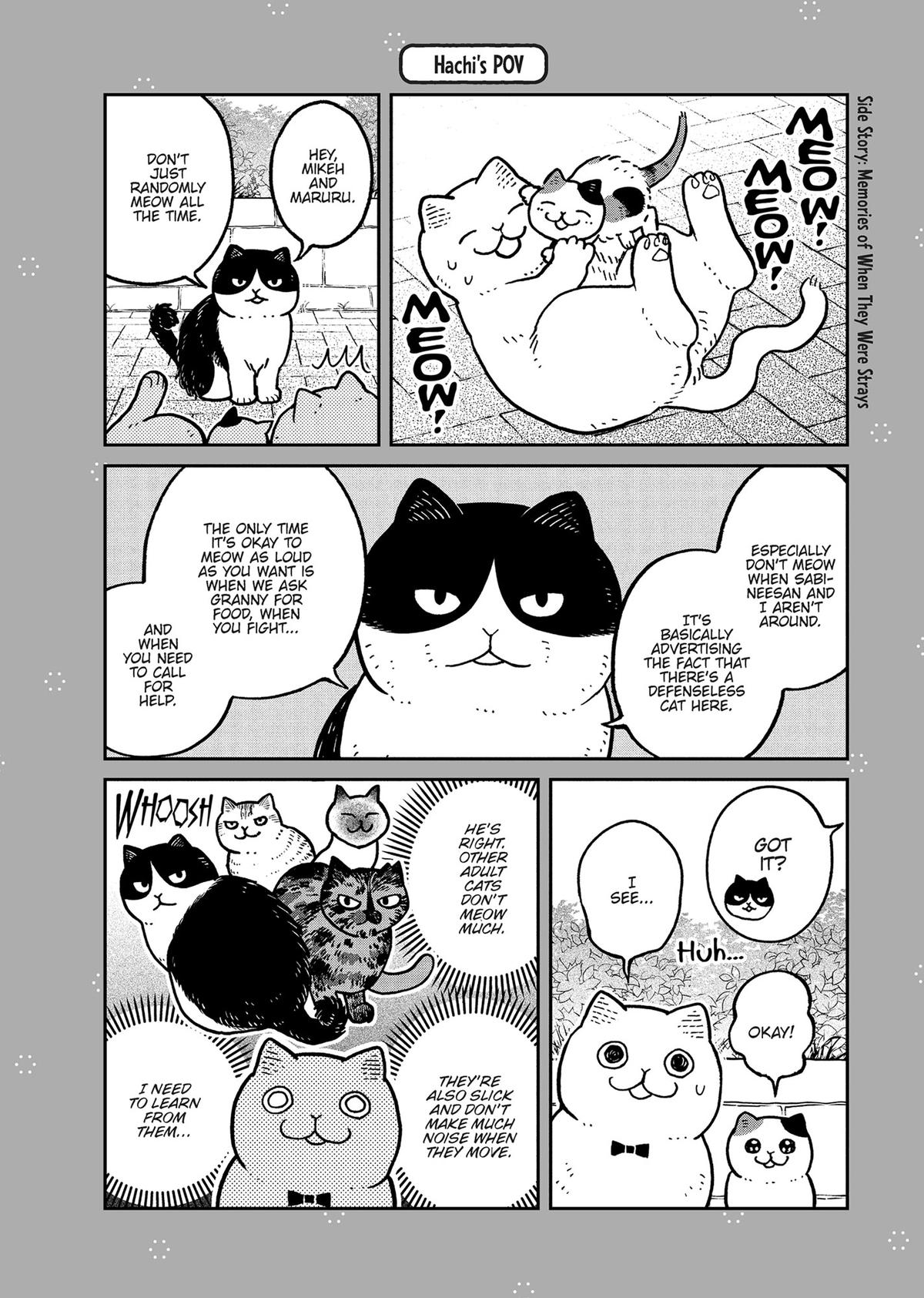 Cat Companions Maruru and Hachi Chapter 28.5 page 1 - 