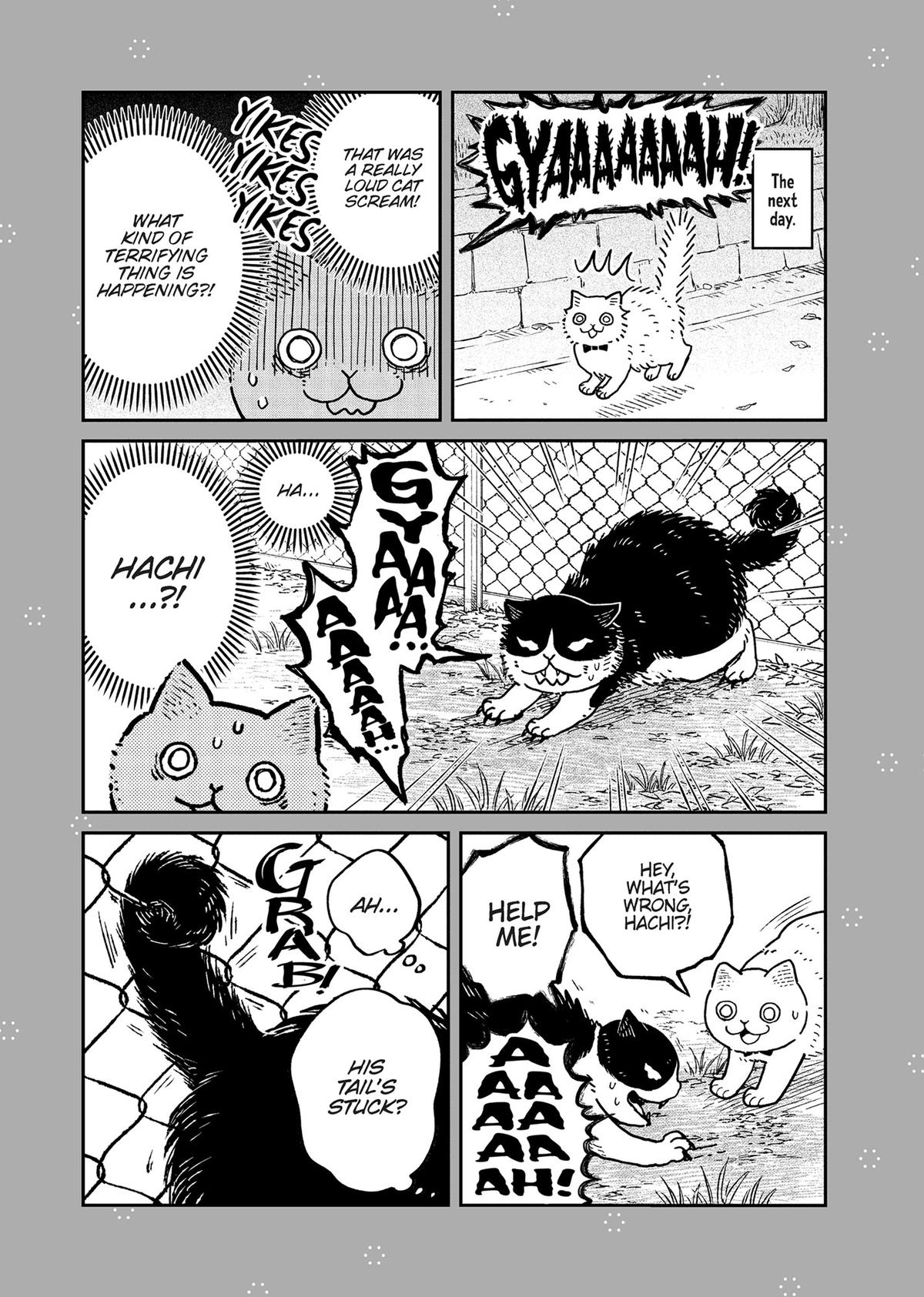 Cat Companions Maruru and Hachi Chapter 28.5 page 2 - 