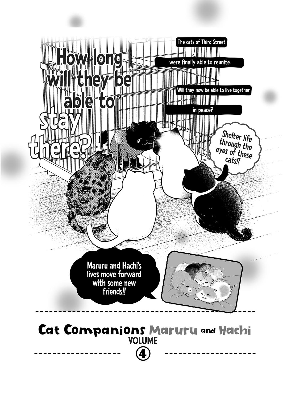 Cat Companions Maruru and Hachi Chapter 28.5 page 12 - 