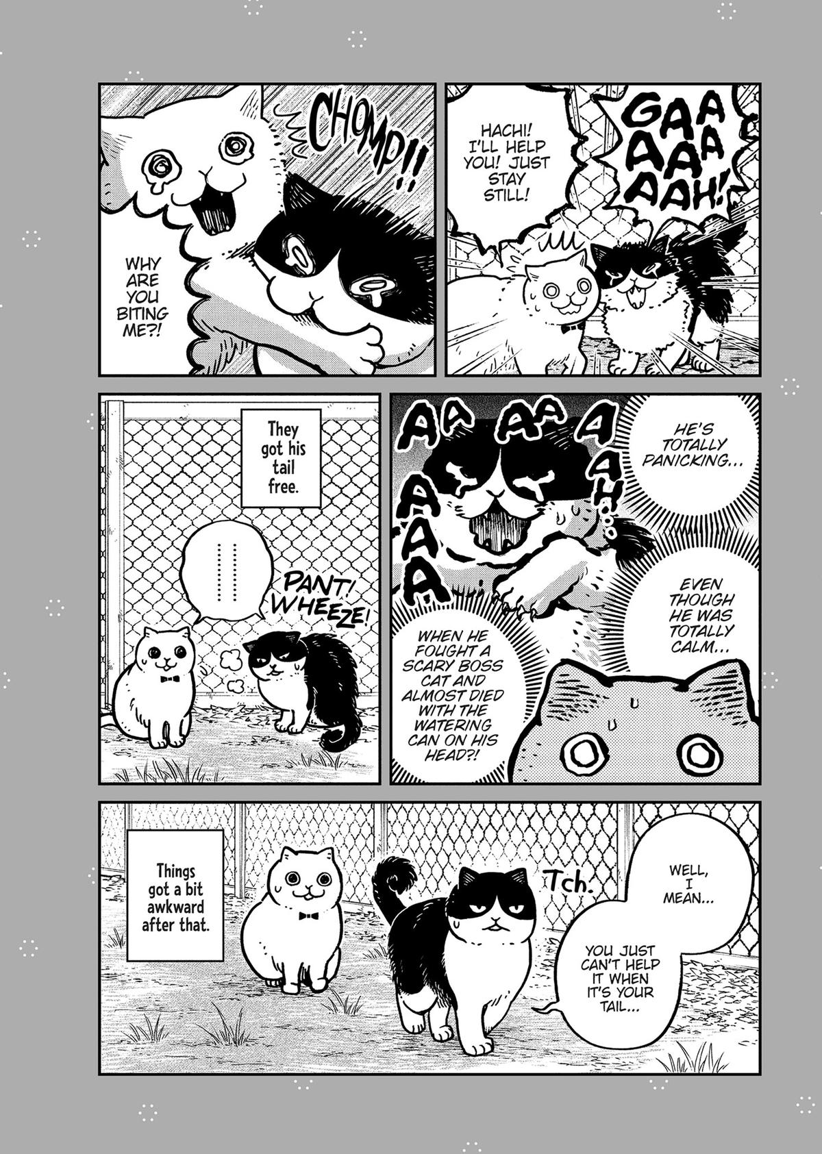 Cat Companions Maruru and Hachi Chapter 28.5 page 3 - 