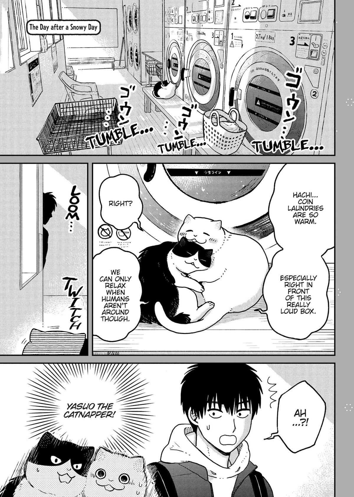 Cat Companions Maruru and Hachi Chapter 28.5 page 4 - 