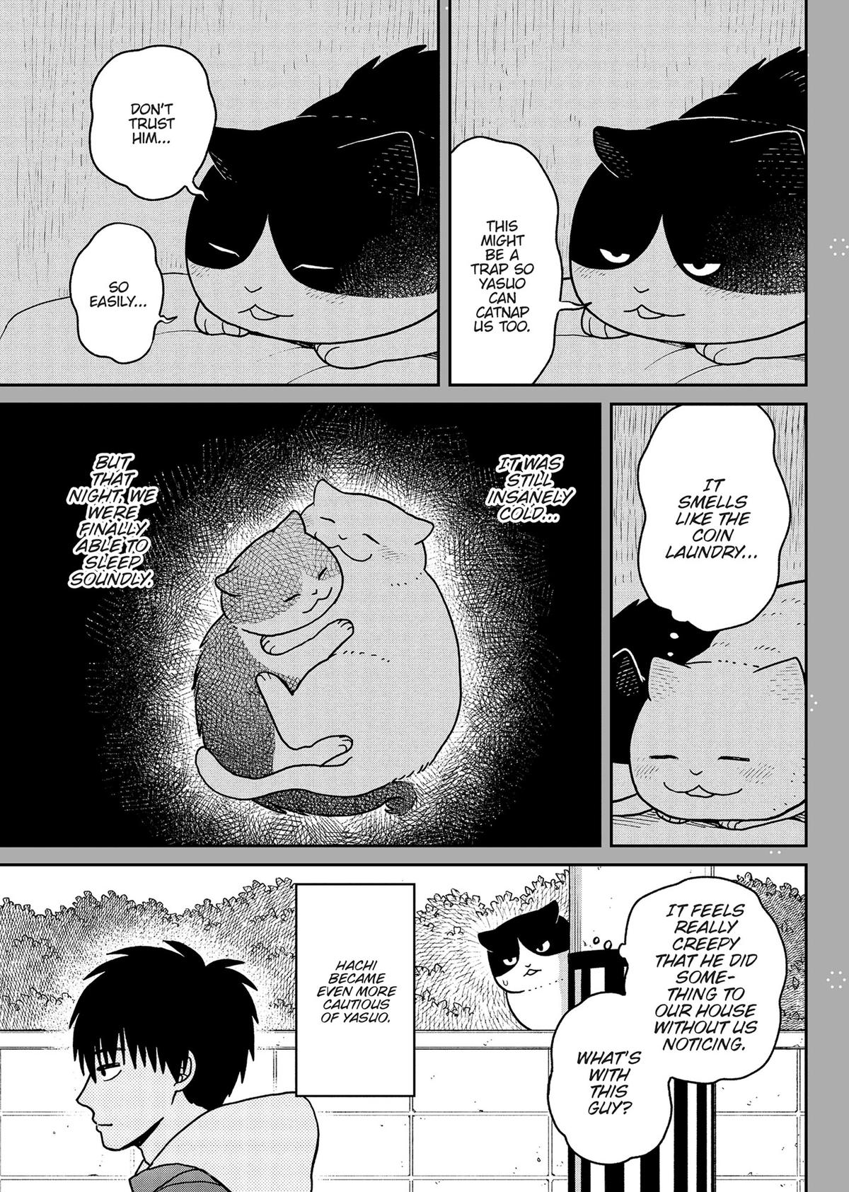 Cat Companions Maruru and Hachi Chapter 28.5 page 8 - 