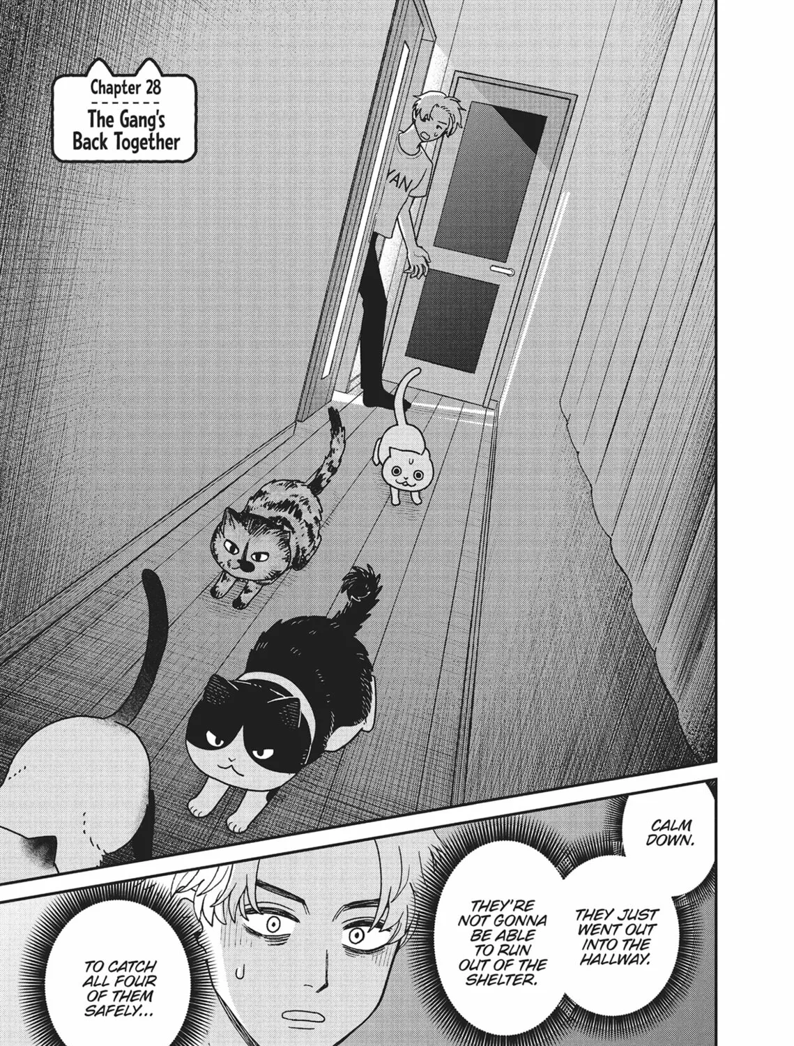 Cat Companions Maruru and Hachi Chapter 28 page 1 - 