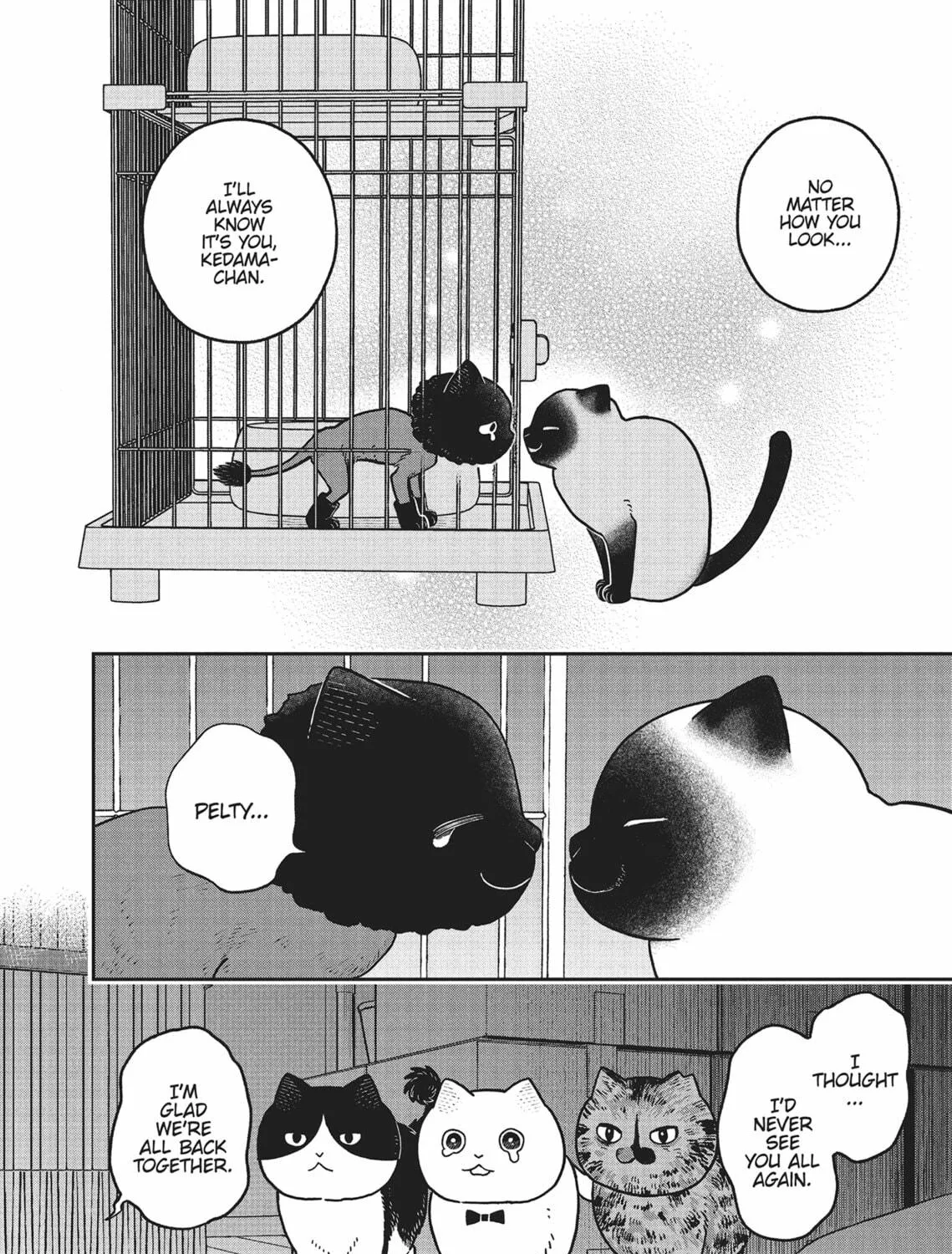 Cat Companions Maruru and Hachi Chapter 28 page 11 - 