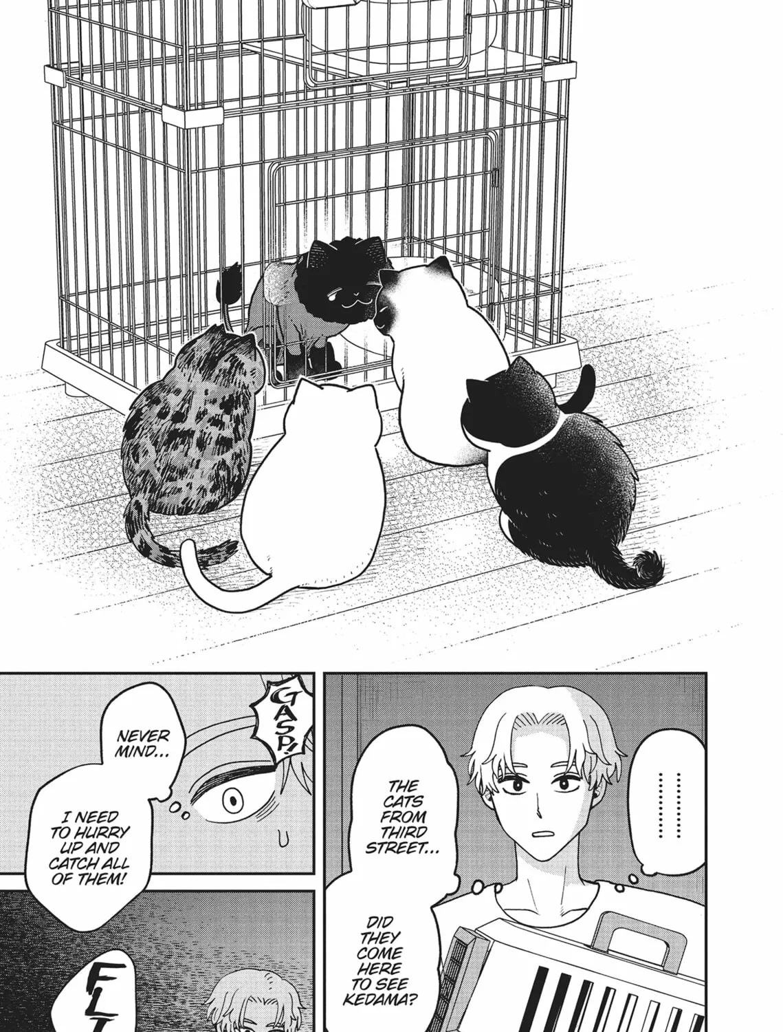 Cat Companions Maruru and Hachi Chapter 28 page 13 - 