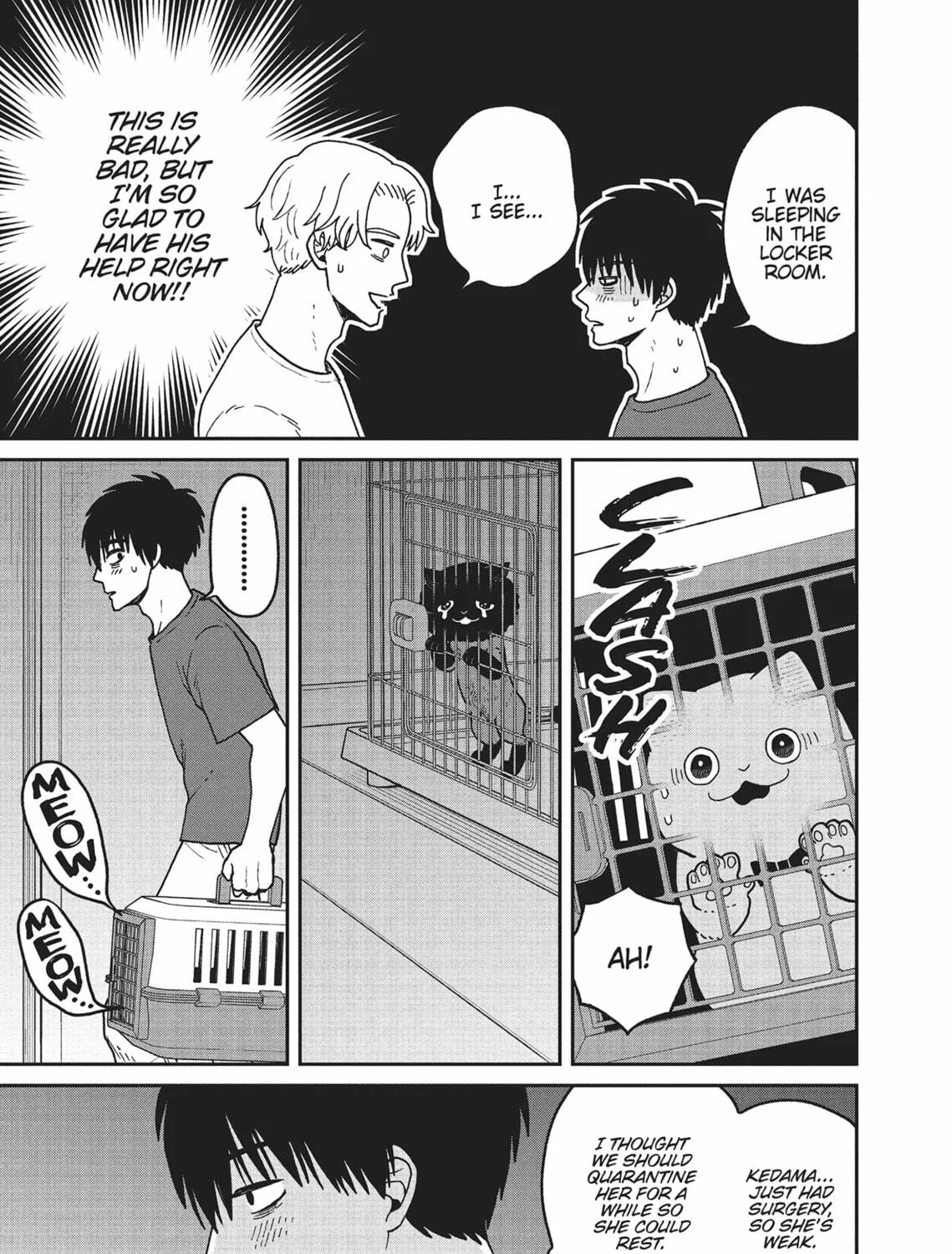 Cat Companions Maruru and Hachi Chapter 28 page 17 - 