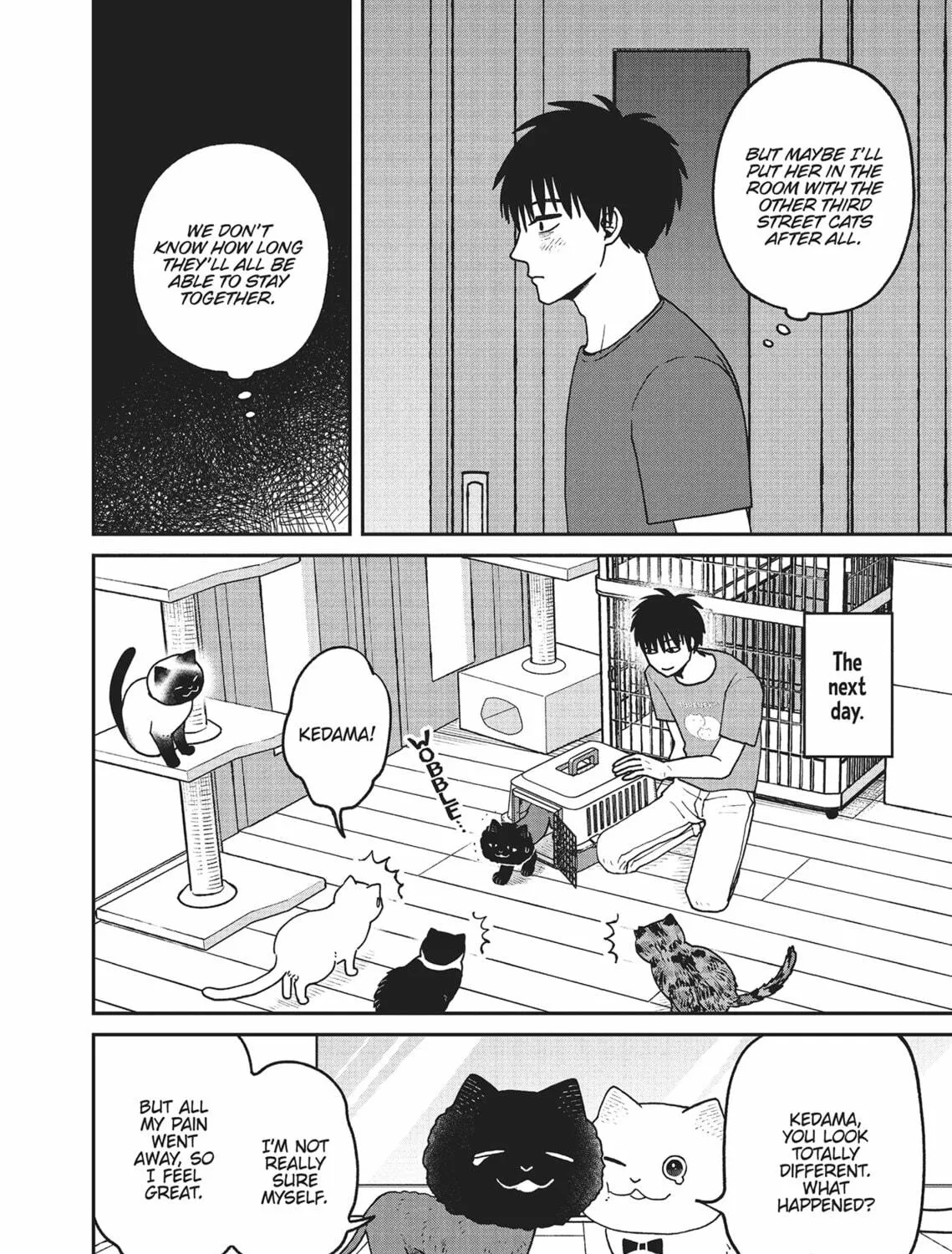 Cat Companions Maruru and Hachi Chapter 28 page 19 - 
