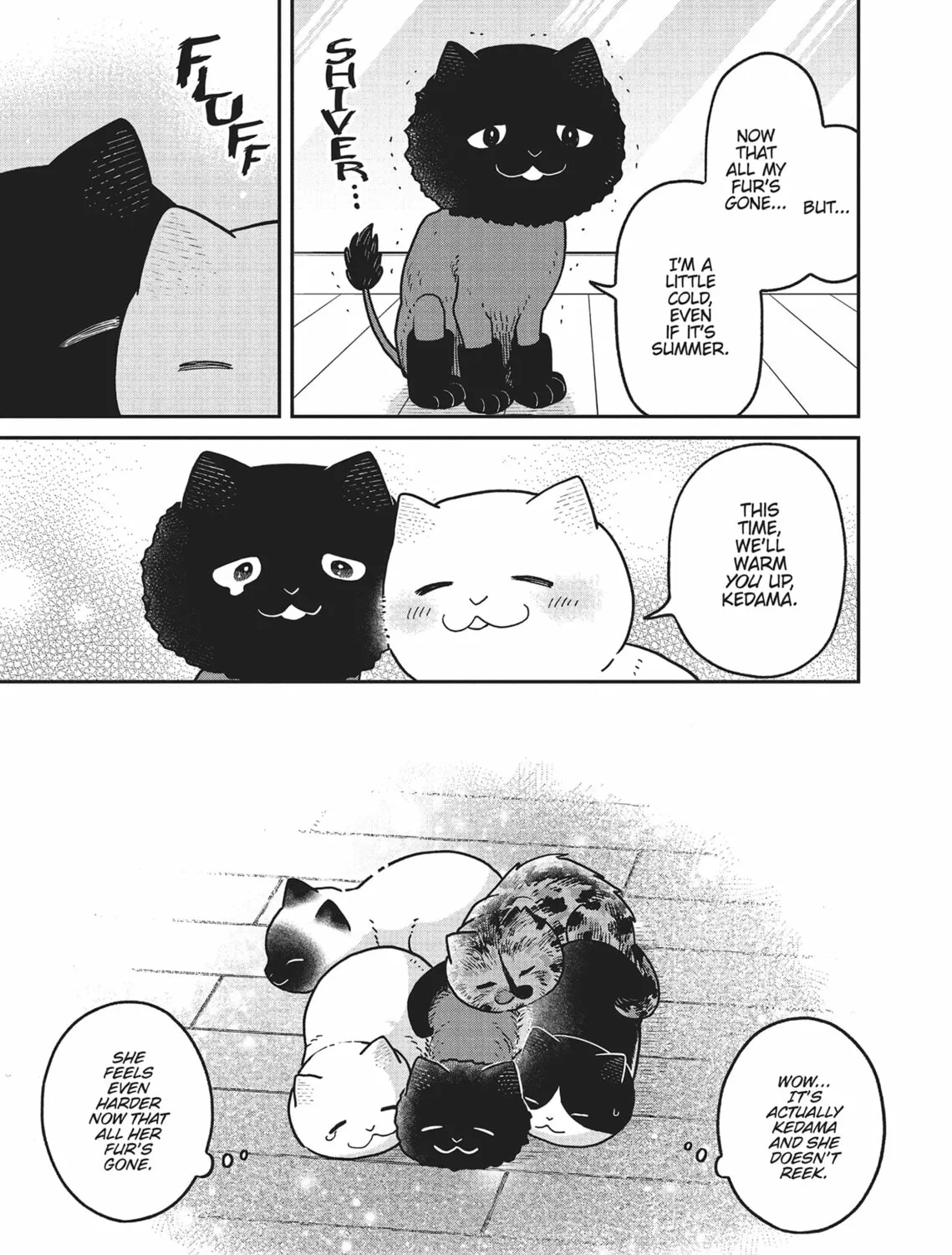 Cat Companions Maruru and Hachi Chapter 28 page 21 - 