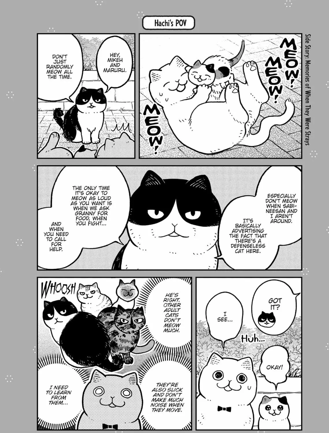 Cat Companions Maruru and Hachi Chapter 28 page 23 - 