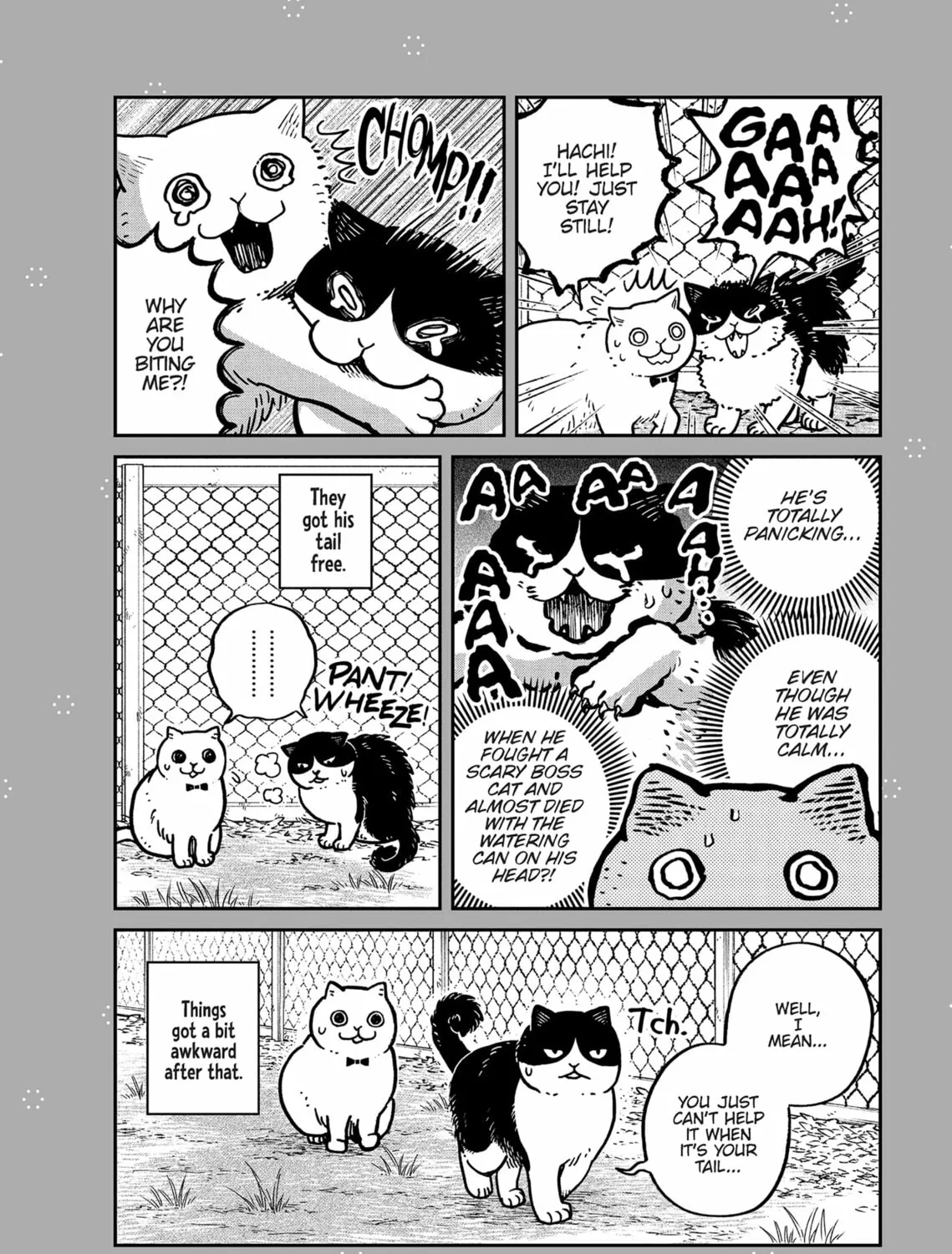 Cat Companions Maruru and Hachi Chapter 28 page 27 - 