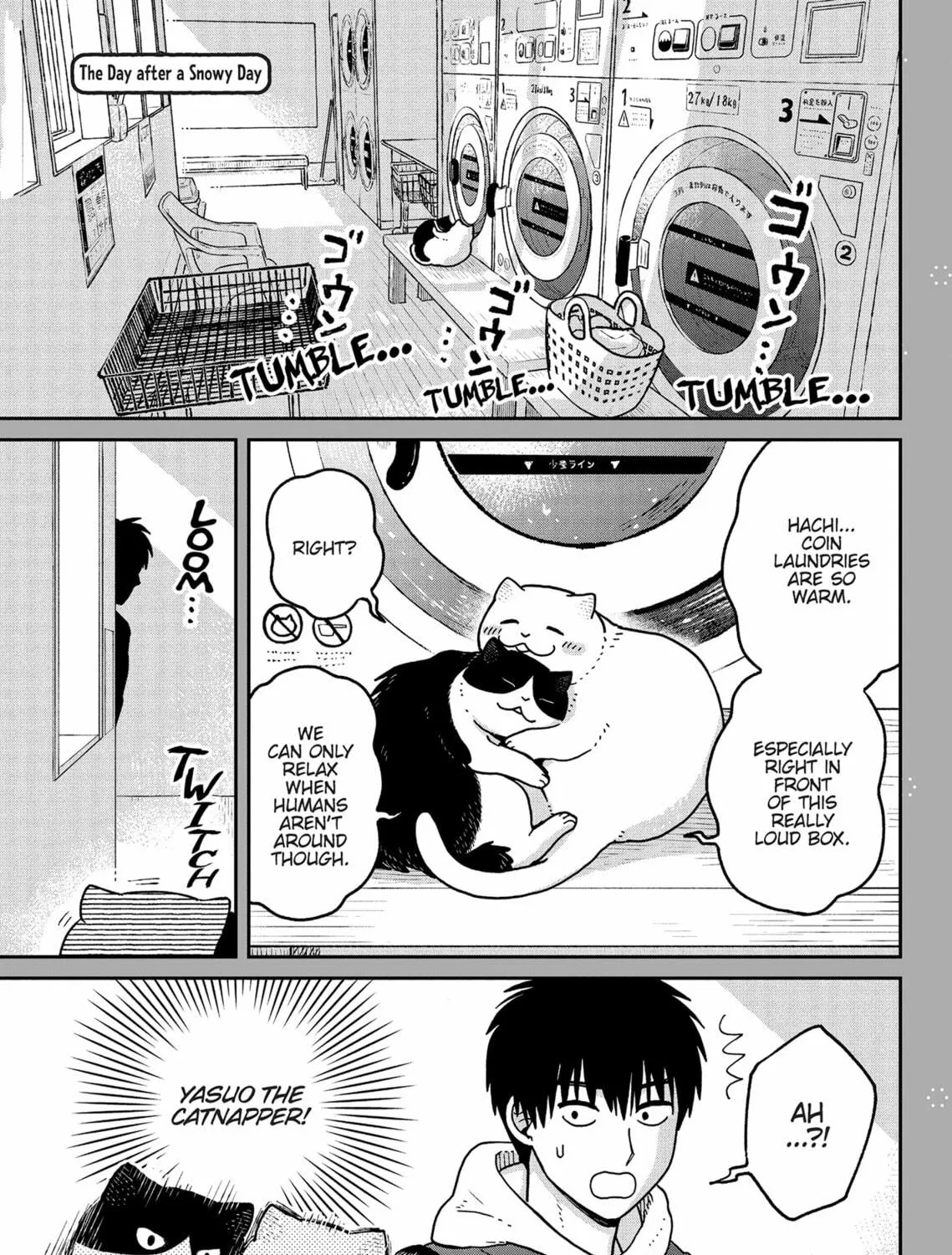 Cat Companions Maruru and Hachi Chapter 28 page 29 - 