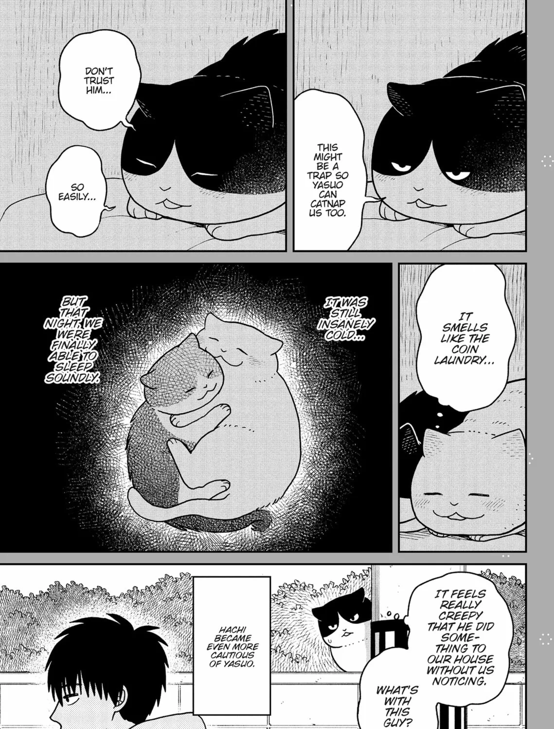 Cat Companions Maruru and Hachi Chapter 28 page 37 - 