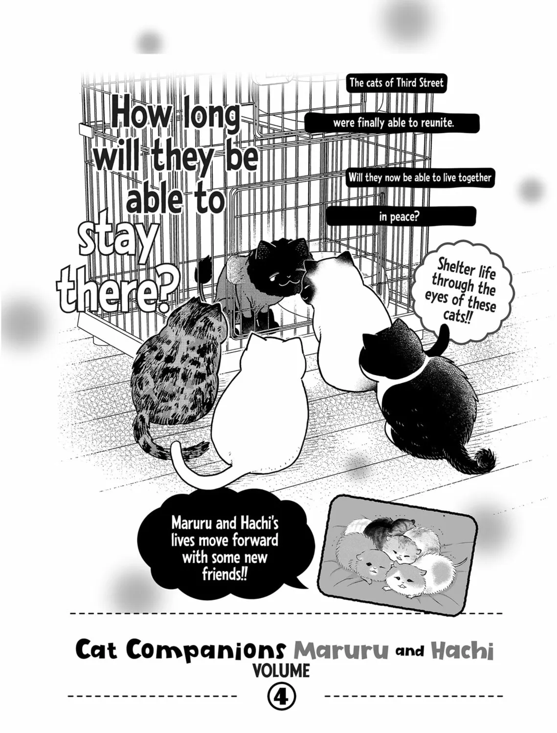 Cat Companions Maruru and Hachi Chapter 28 page 45 - 