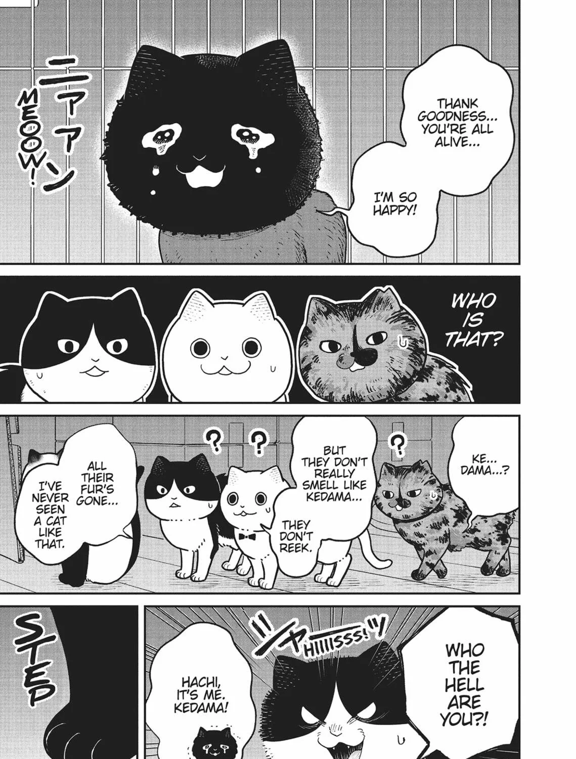 Cat Companions Maruru and Hachi Chapter 28 page 9 - 