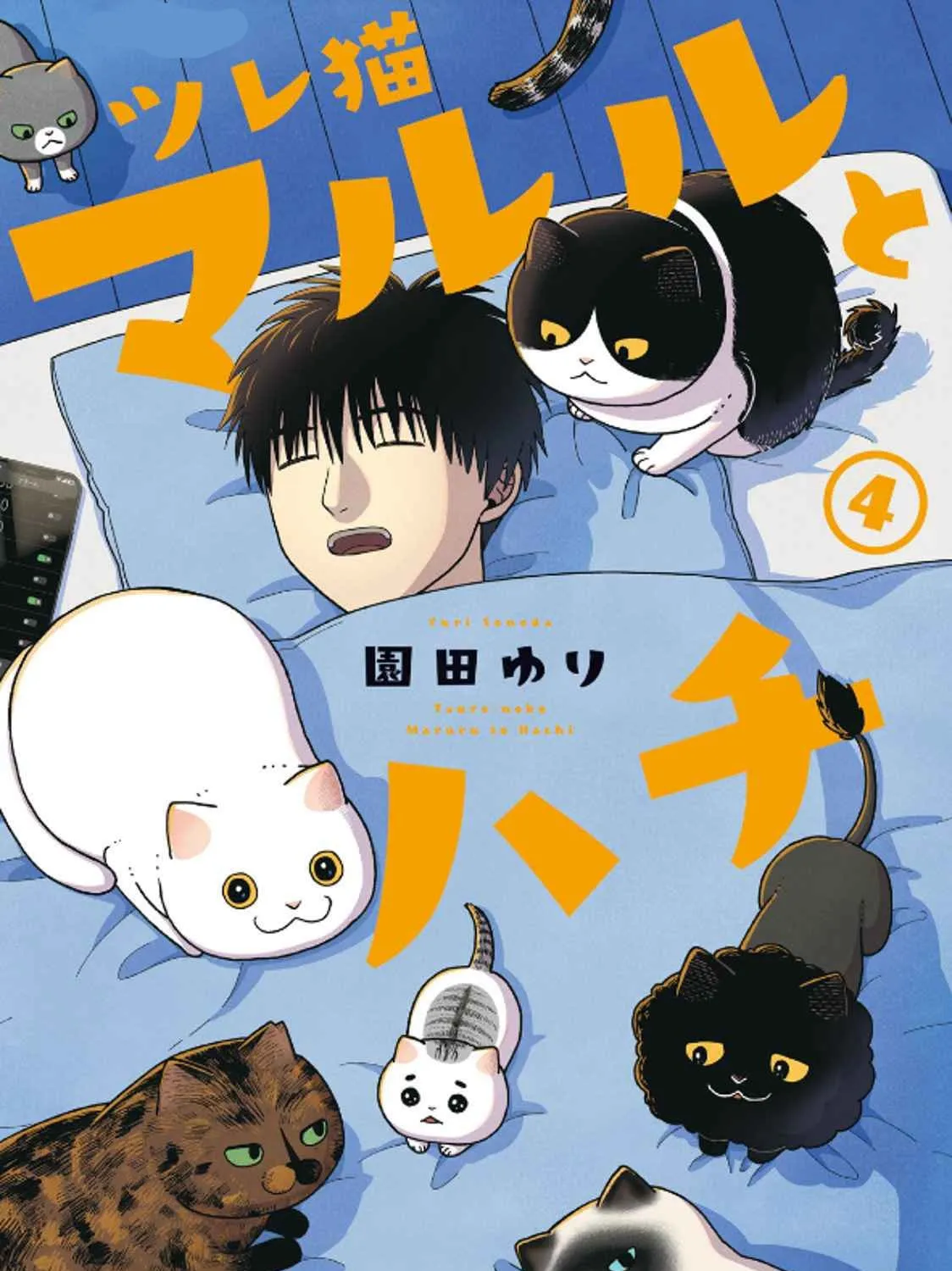 Cat Companions Maruru and Hachi Chapter 29 page 1 - 