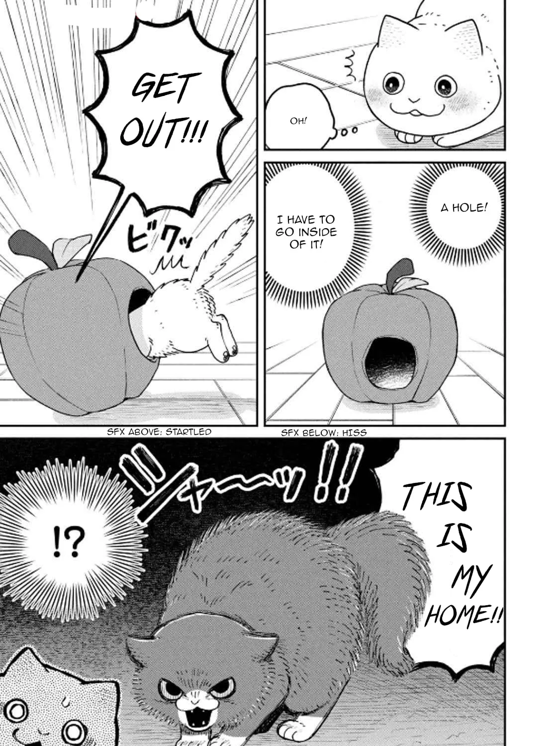 Cat Companions Maruru and Hachi Chapter 29 page 13 - 