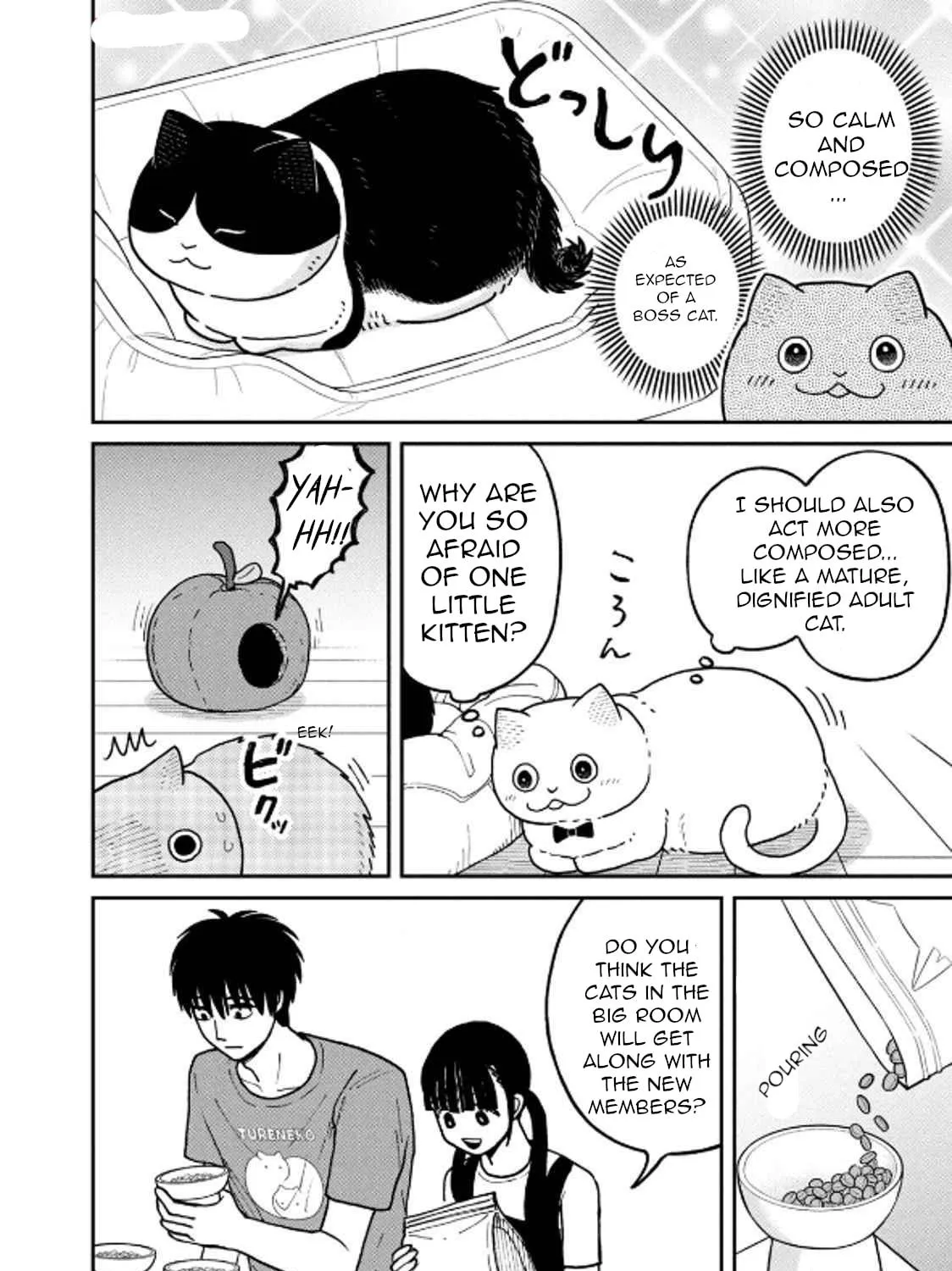 Cat Companions Maruru and Hachi Chapter 29 page 19 - 