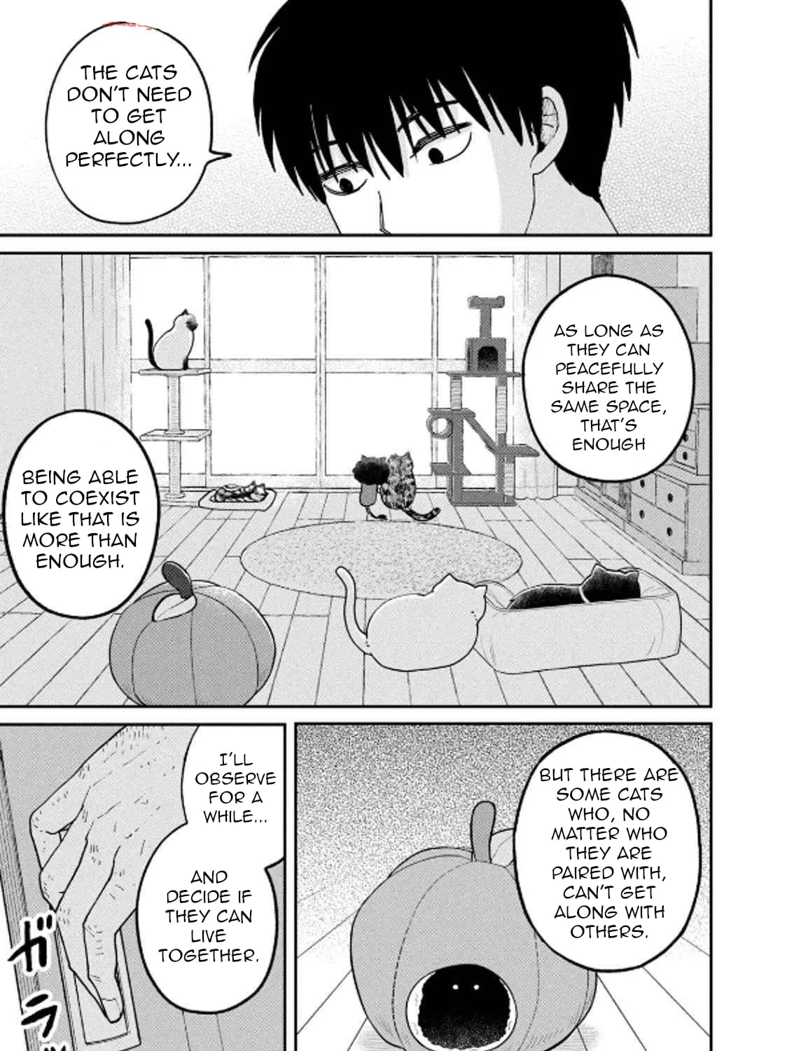 Cat Companions Maruru and Hachi Chapter 29 page 21 - 