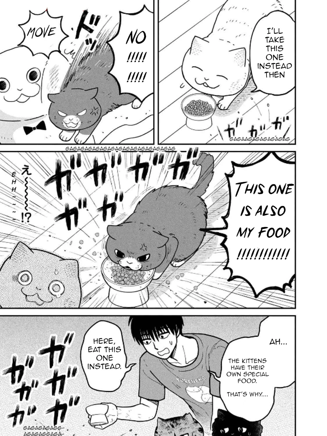 Cat Companions Maruru and Hachi Chapter 29 page 25 - 