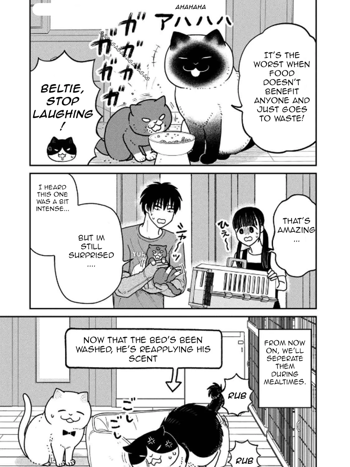 Cat Companions Maruru and Hachi Chapter 29 page 33 - 