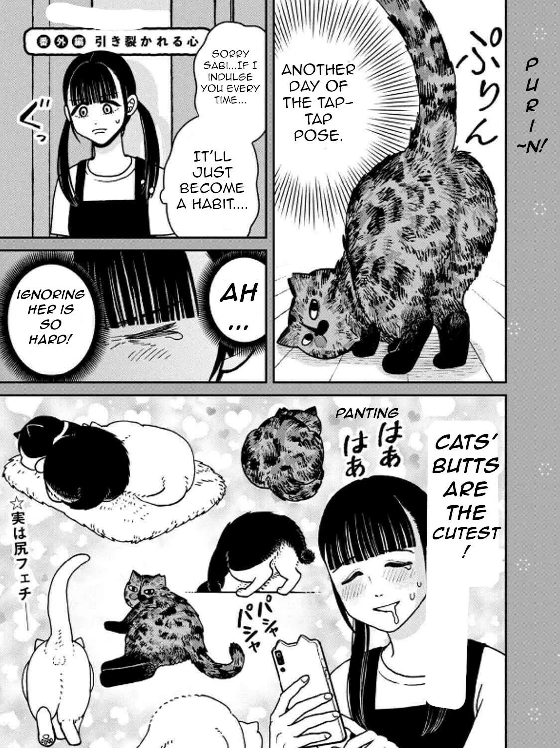 Cat Companions Maruru and Hachi Chapter 29 page 37 - 