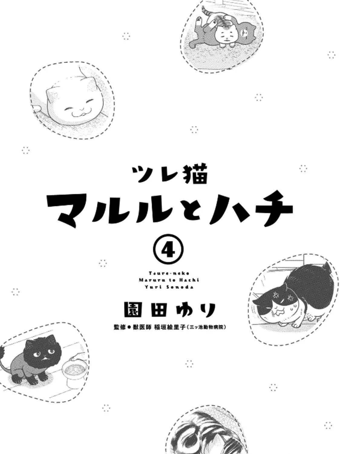 Cat Companions Maruru and Hachi Chapter 29 page 5 - 