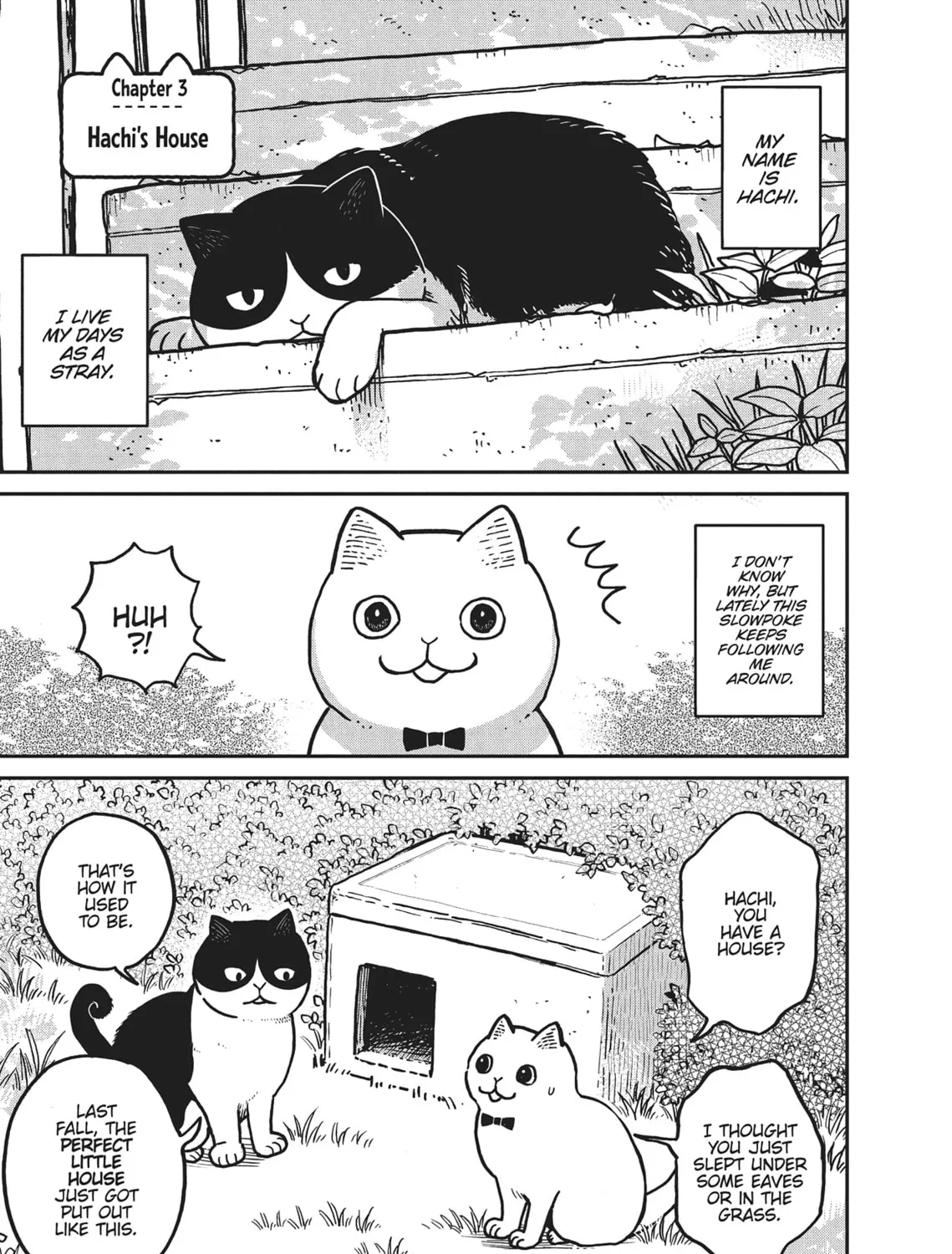 Cat Companions Maruru and Hachi Chapter 3 page 1 - 