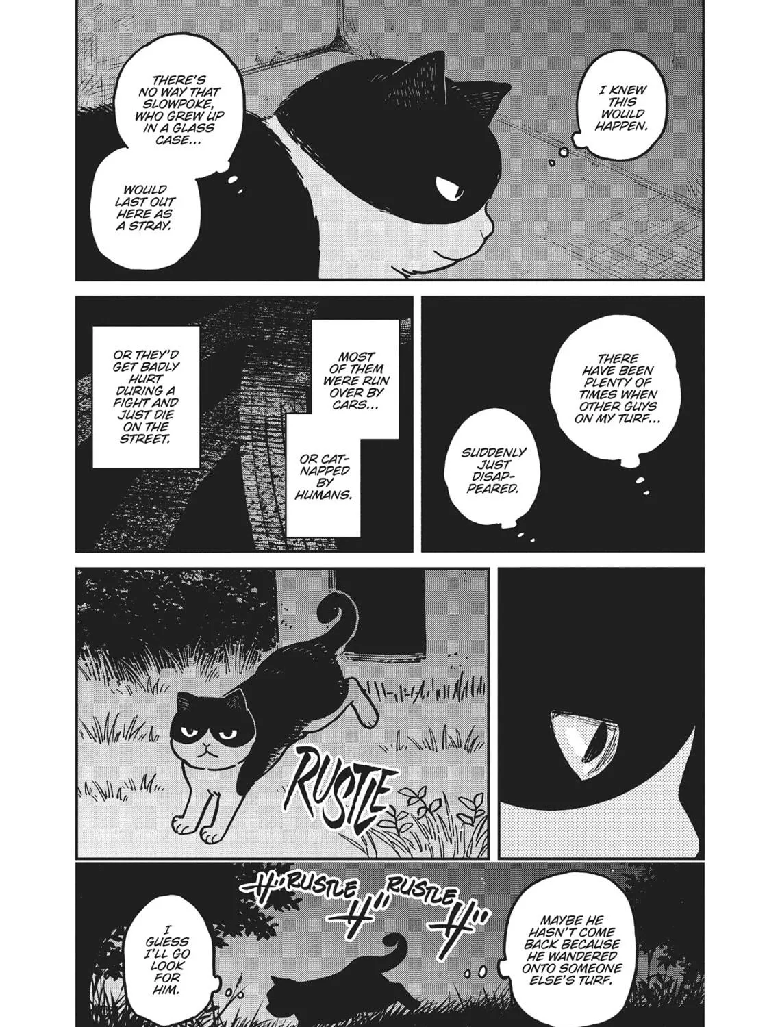 Cat Companions Maruru and Hachi Chapter 3 page 11 - 